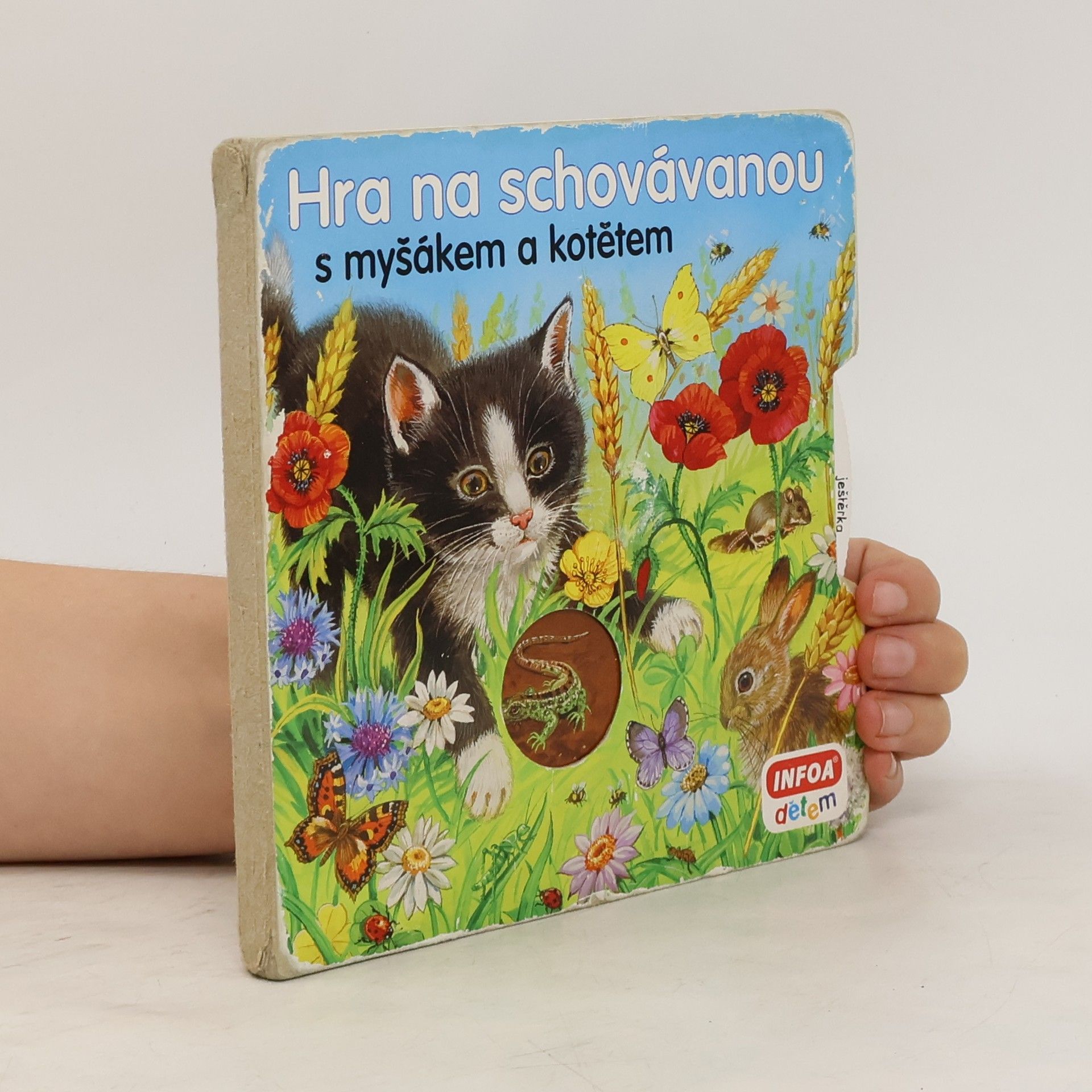 Collectif d'auteurs Hra na schovávanou s myšákem a kotětem