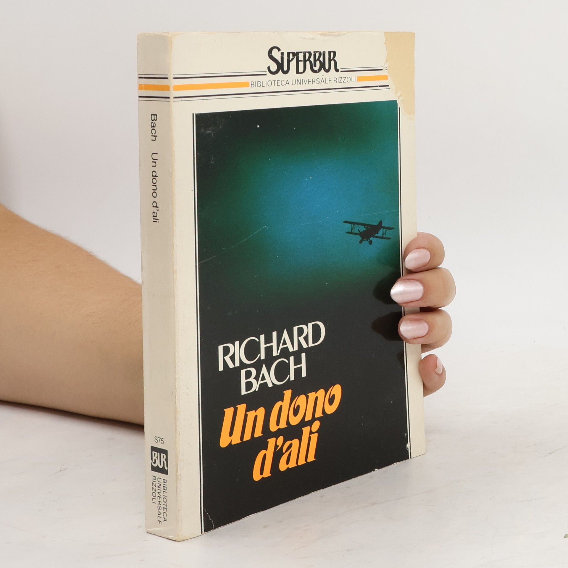 Richard Bach Un dono d'ali