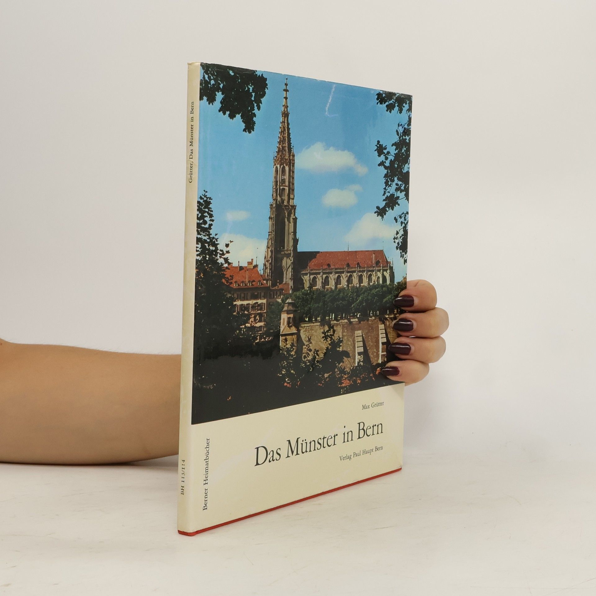Max Grütter Das Münster in Bern
