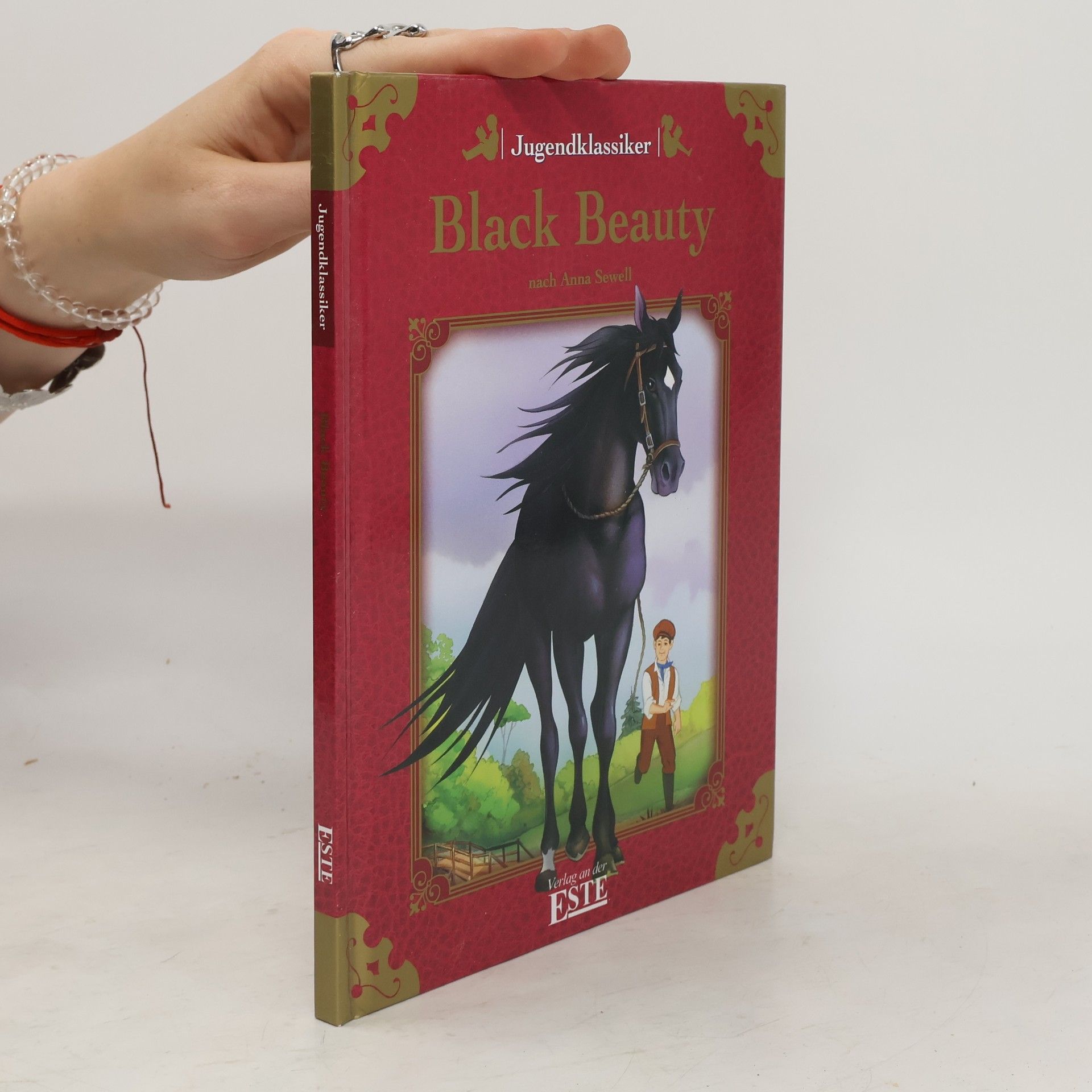 Günter Neidinger Black Beauty