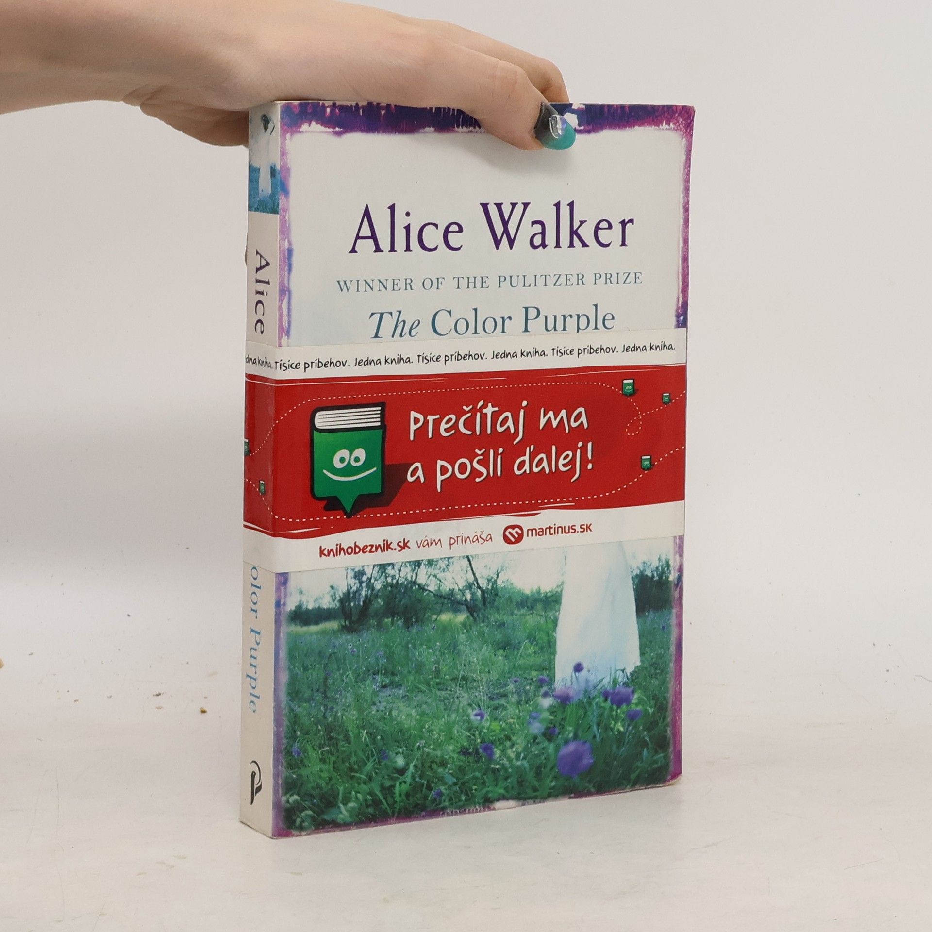 Alice Malsenior Walkerová The Color Purple