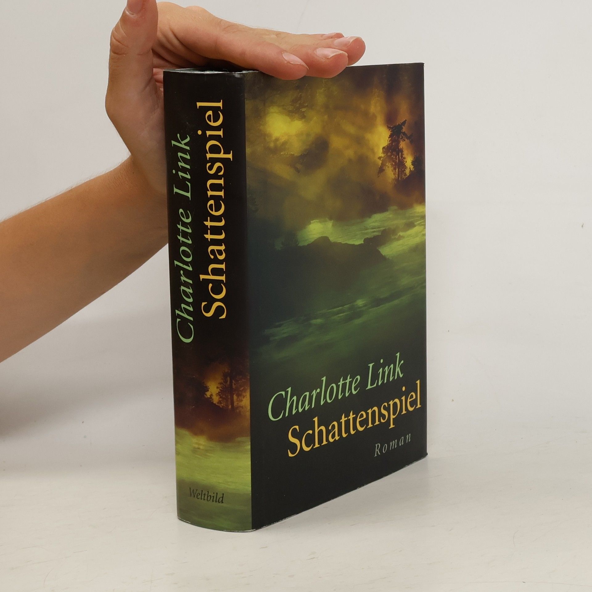 Charlotte Link Schattenspiel