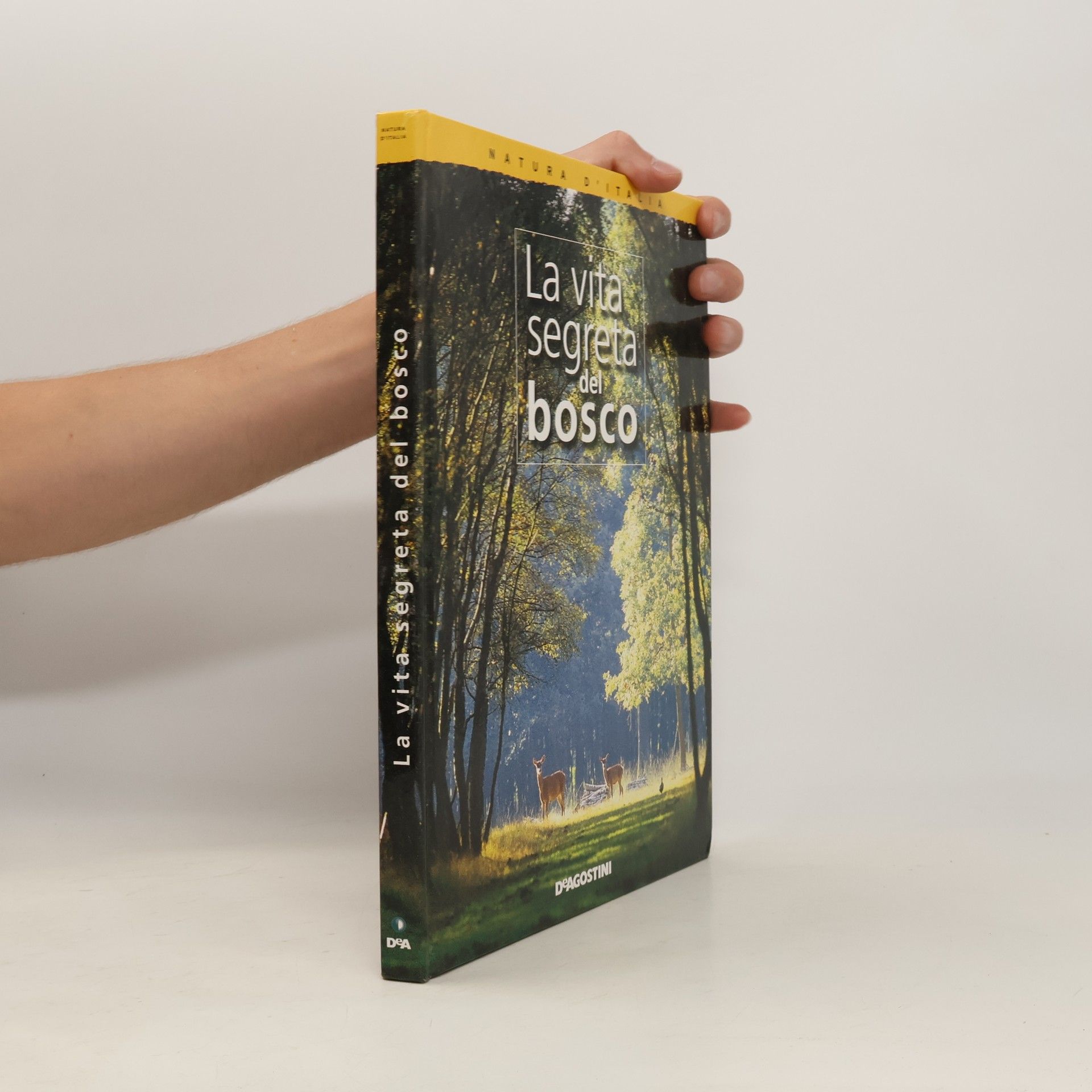 Autores varios La vita segreta del bosco