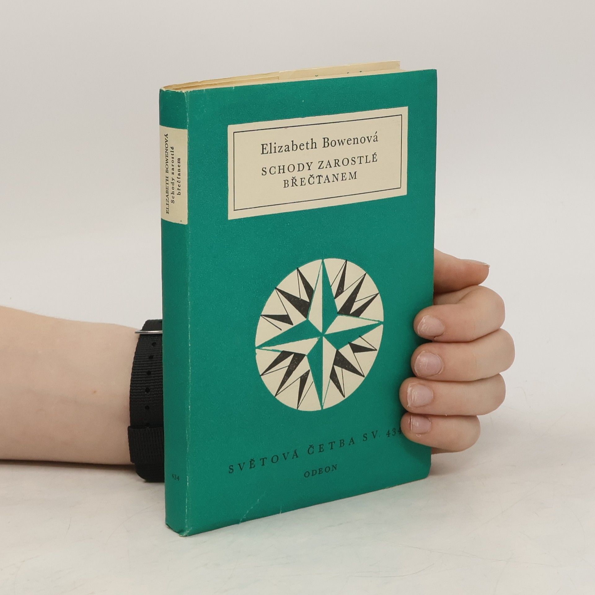 Elizabeth Bowen Schody zarostlé břečťanem