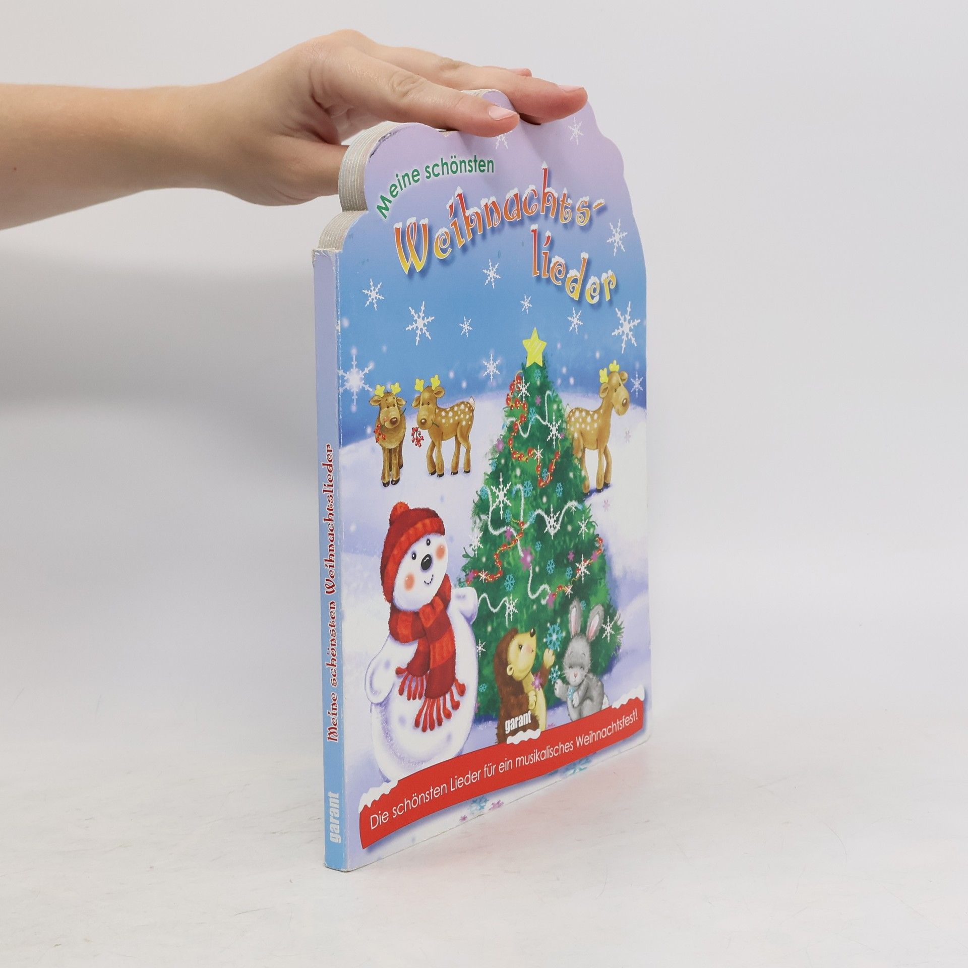 Collectif d'auteurs Meine schönsten Weihnachtslieder