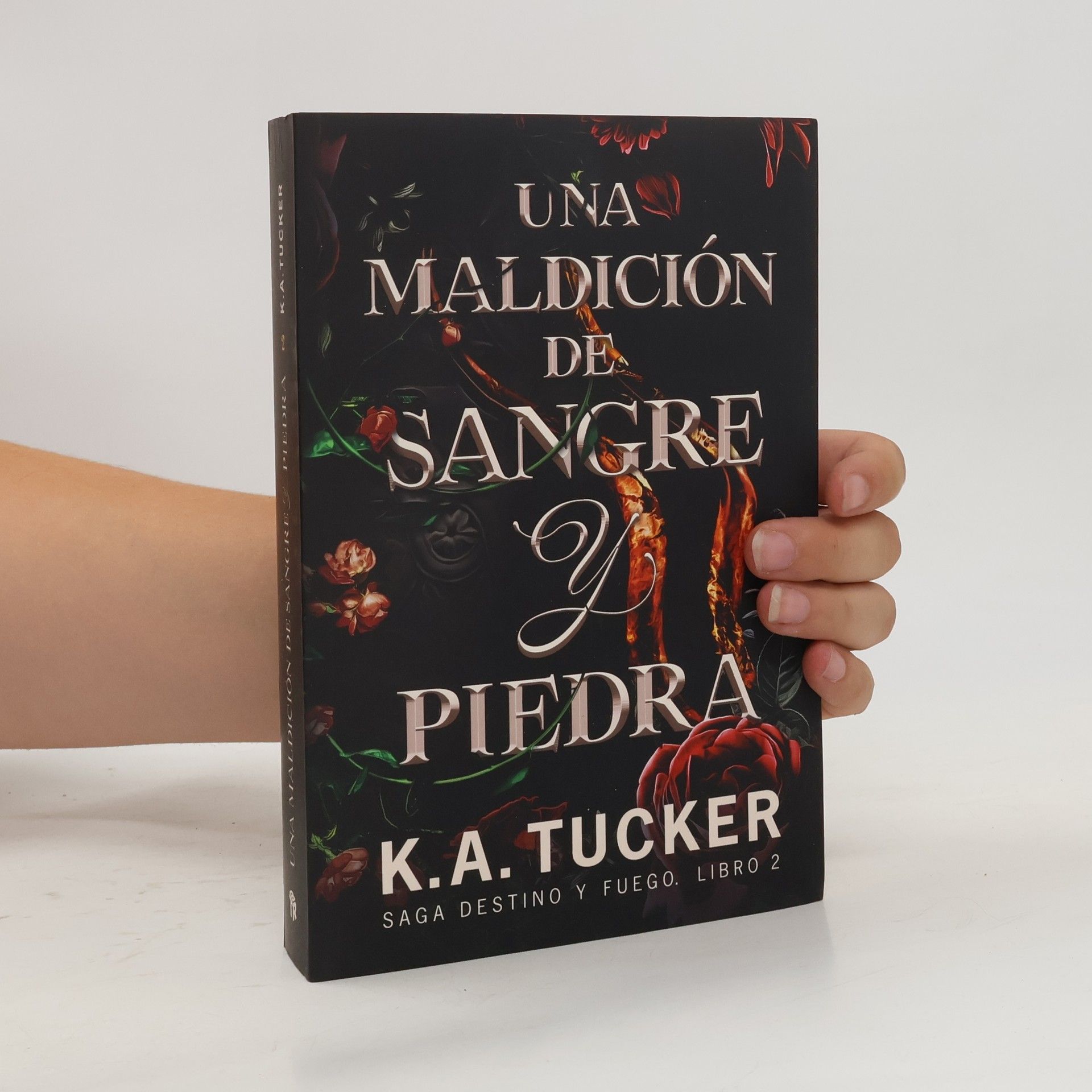 Ana Isabel Hernández de Deza Saga Destino y Fuego - 2: Una maldición de sangre y piedra