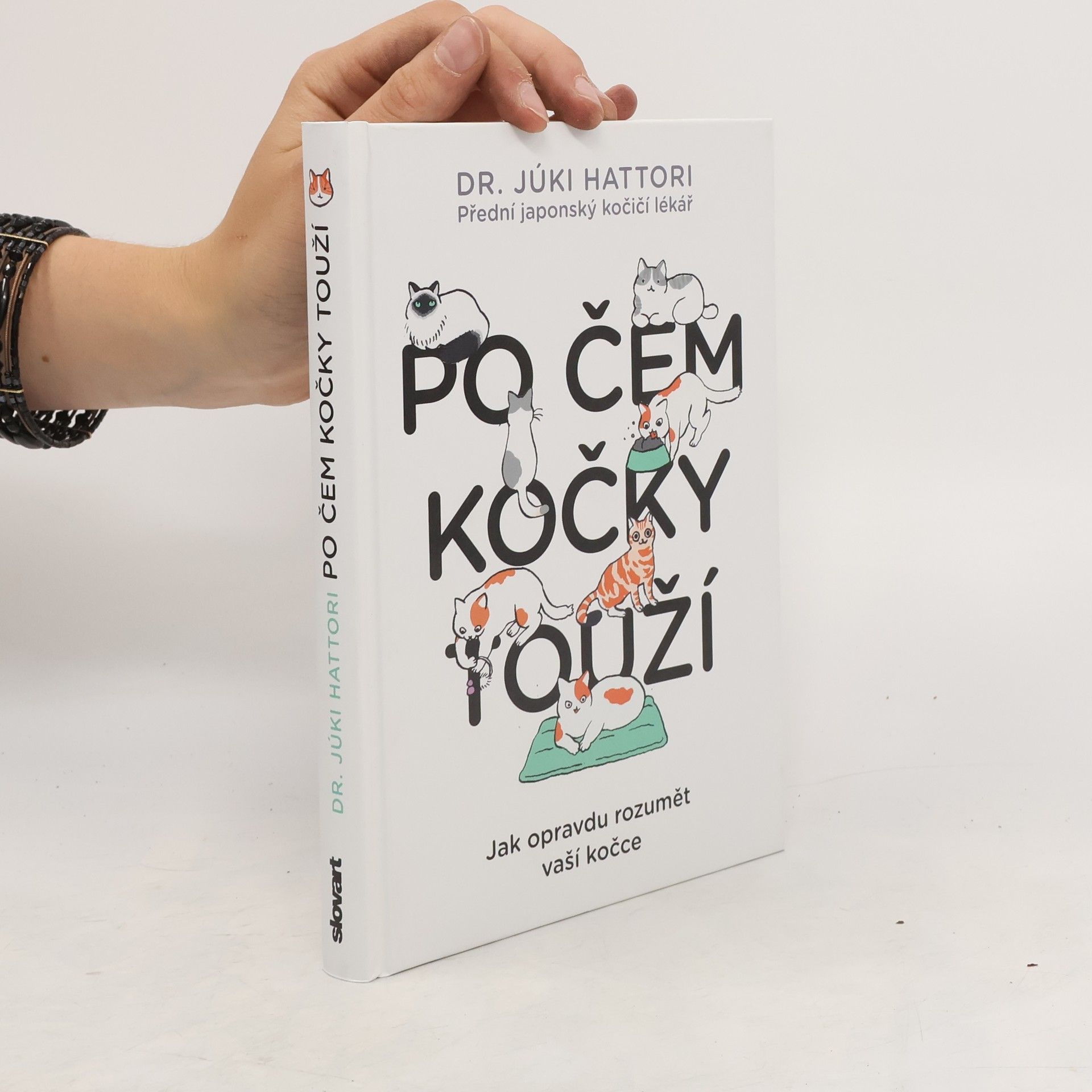 Júki Hattori Po čem kočky touží : jak opravdu rozumět vaší kočce