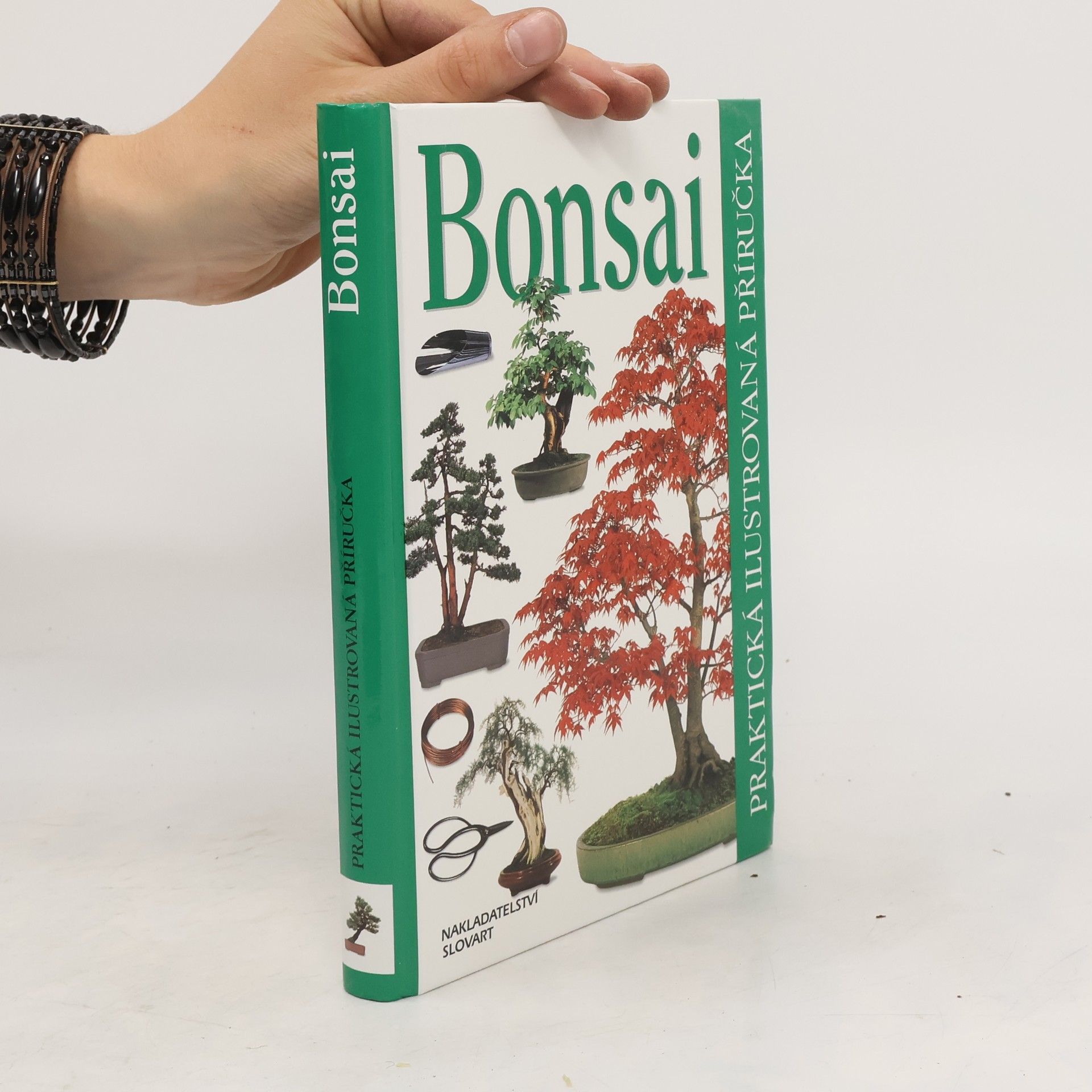 Dana Wiesnerová Bonsai. Praktická ilustrovaná příručka