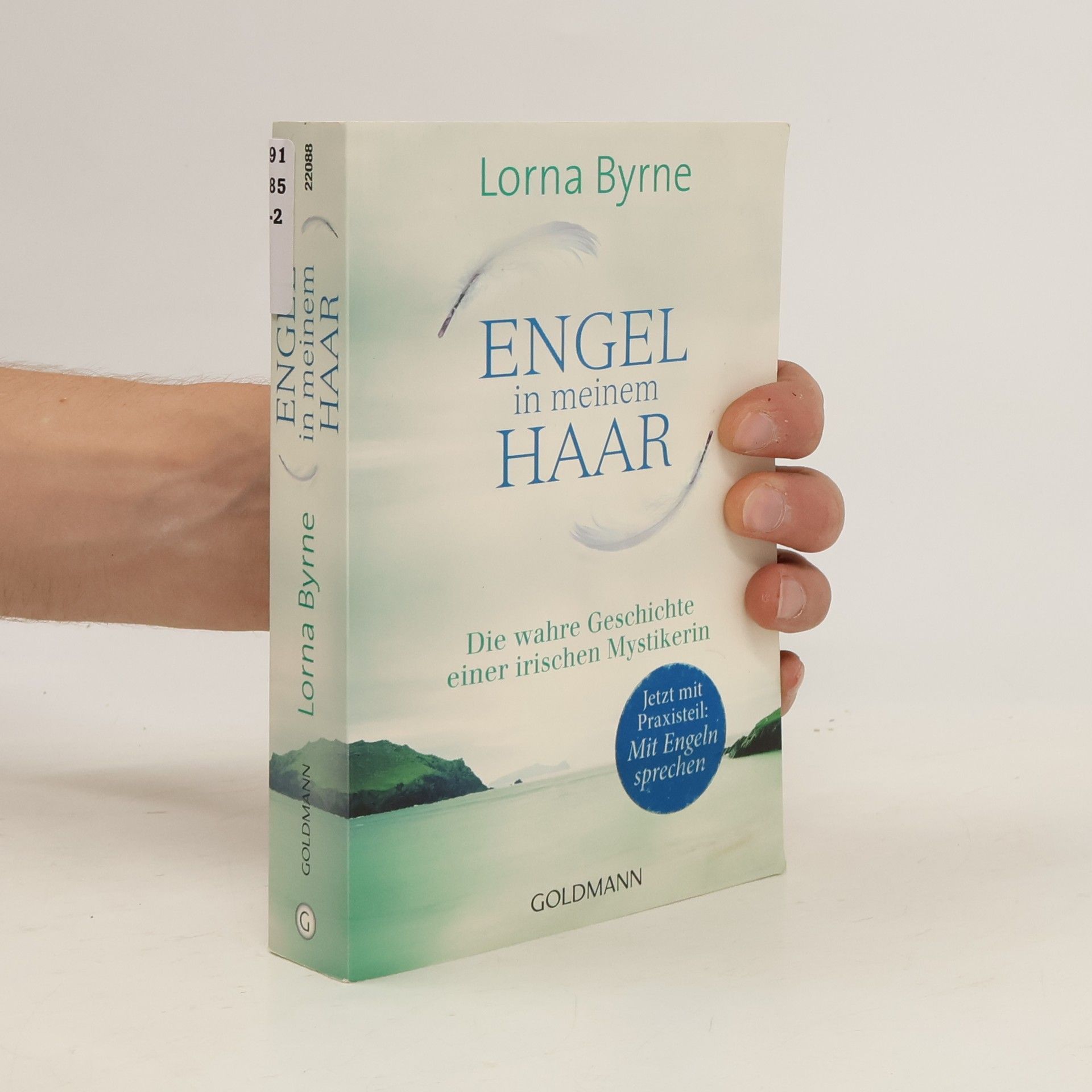 Lorna Byrne Engel in meinem Haar