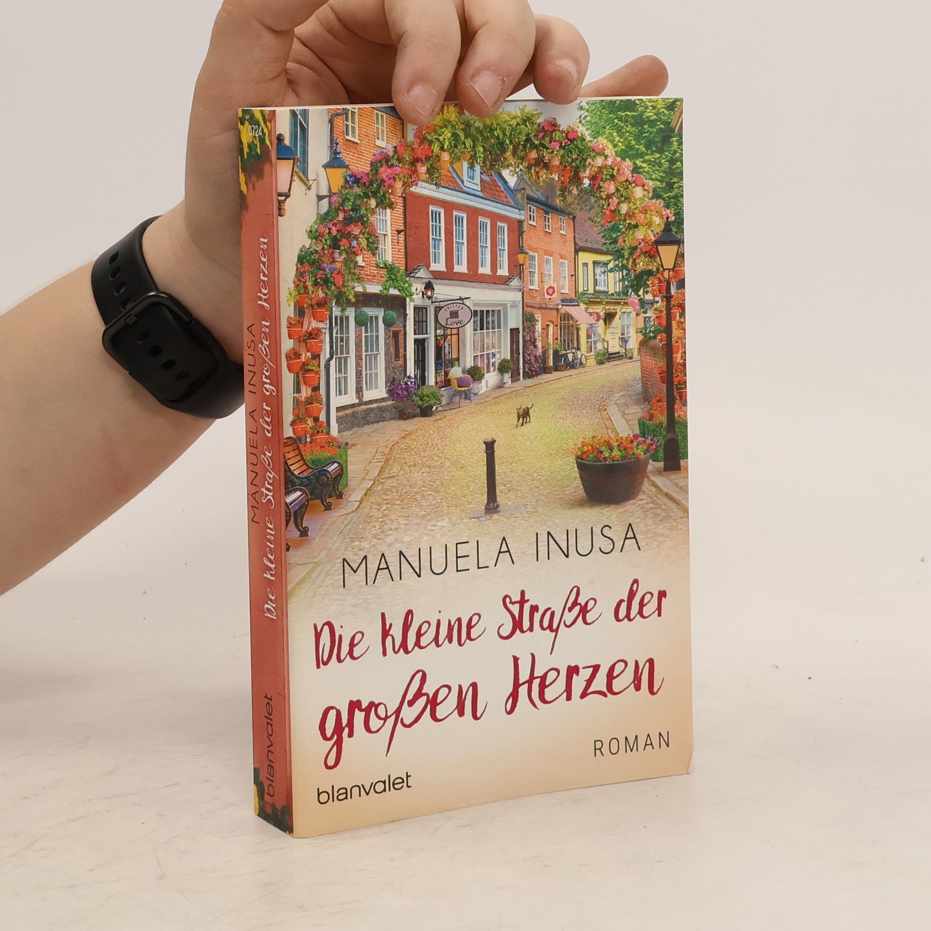 Manuela Inusa Die kleine Straße der großen Herzen
