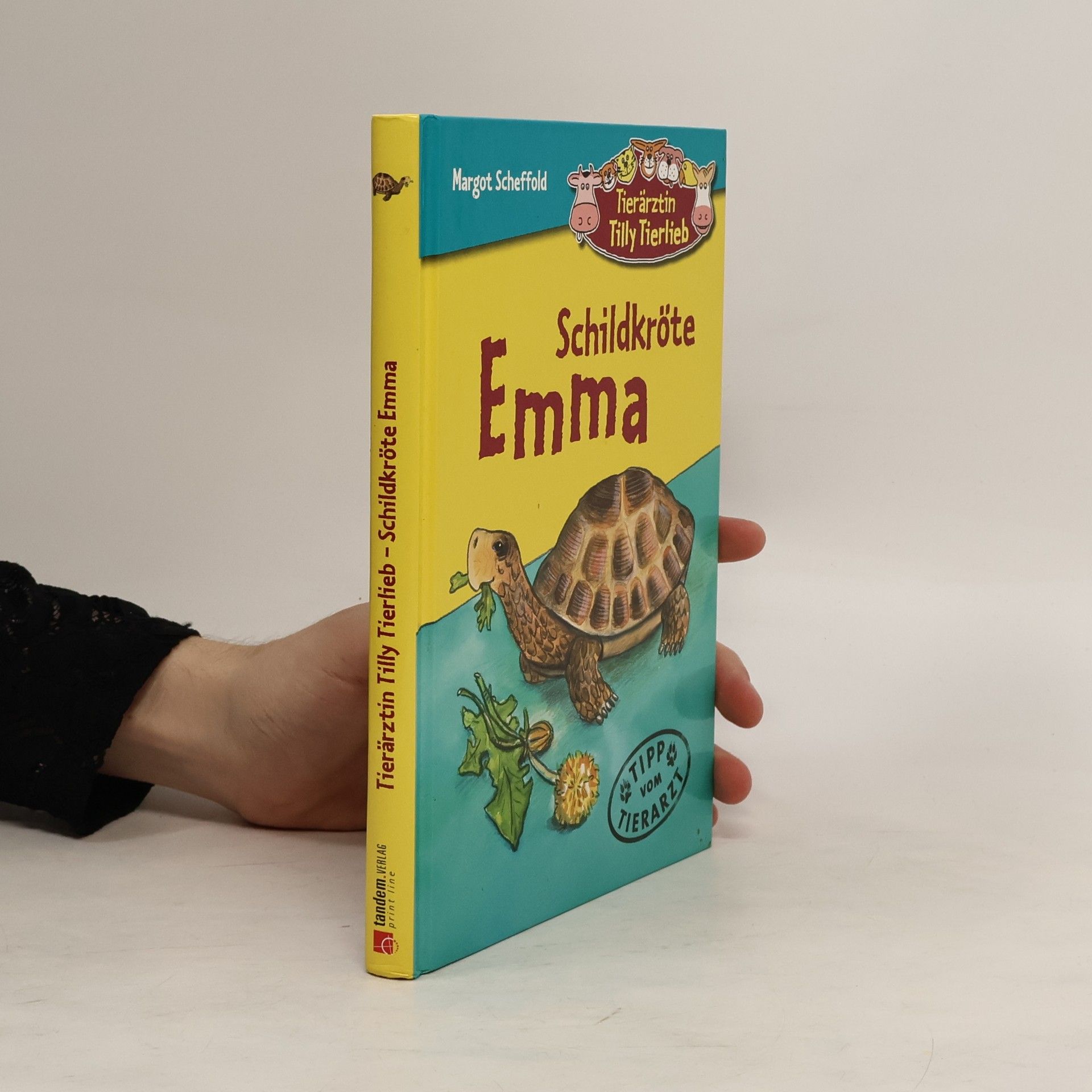Margot Scheffold Schildkröte Emma