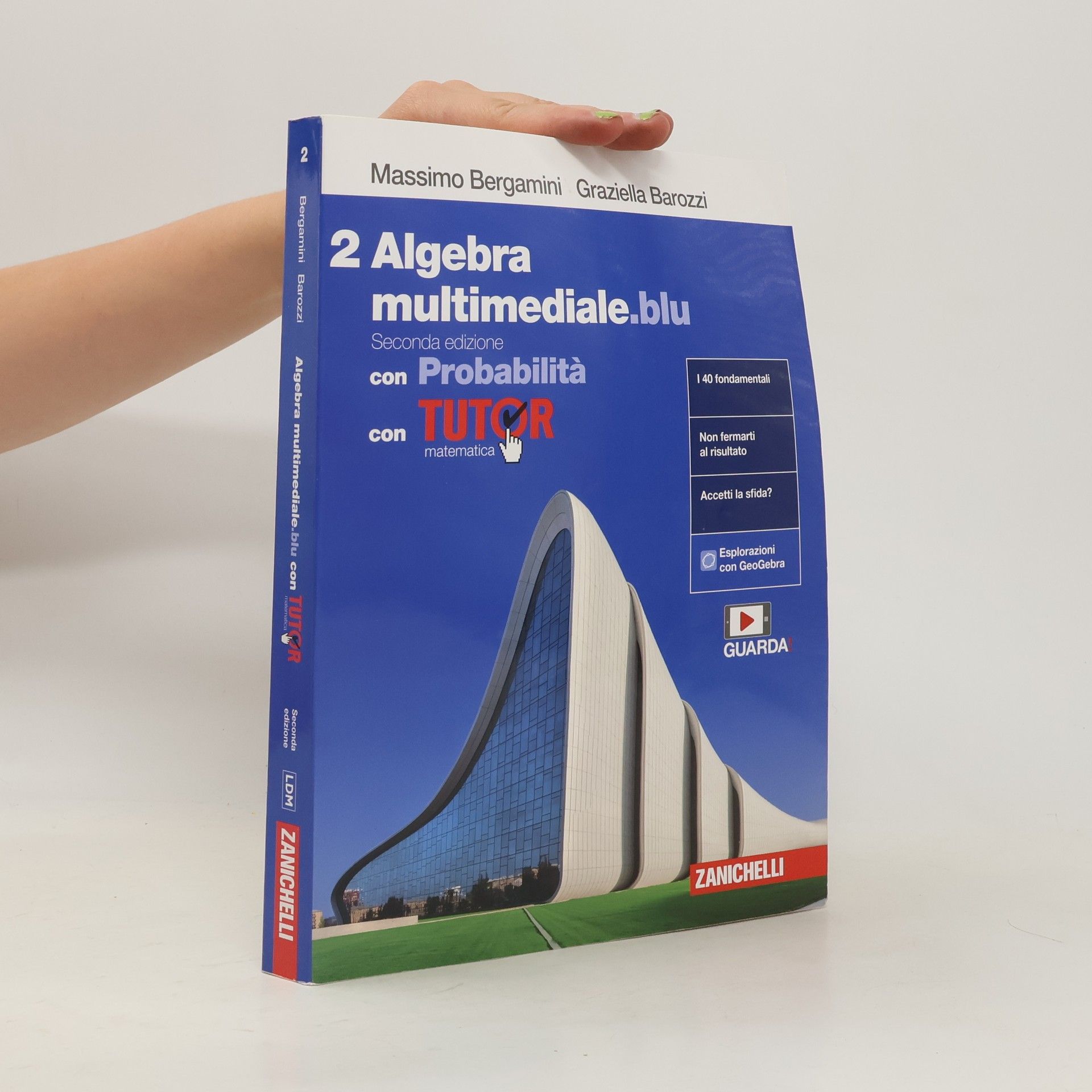Massimo Bergamini 2 Algebra multimediale.blu