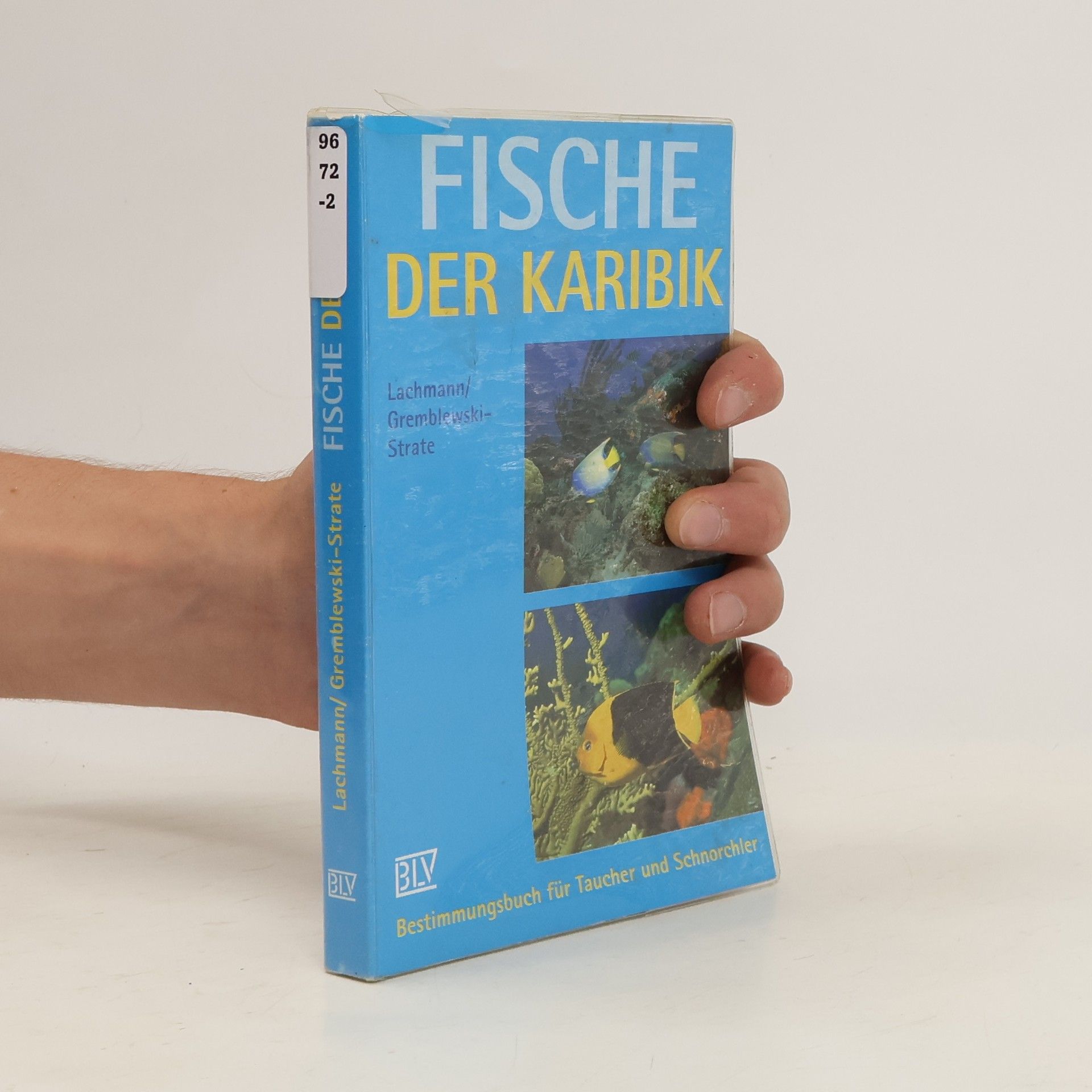 Petra Lachmann Fische der Karibik