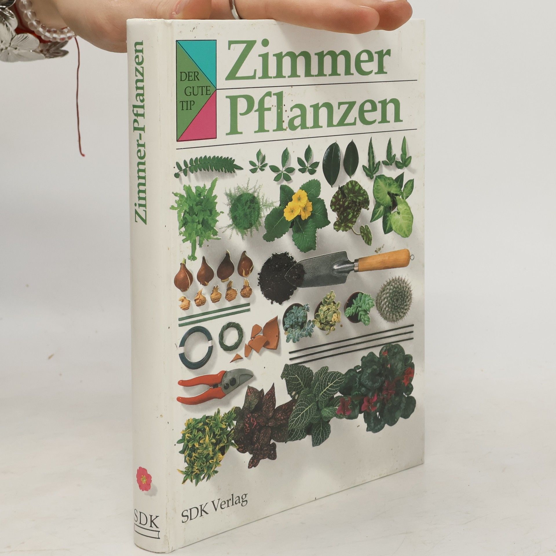 Susanne Härtel Zimmer-Pflanzen