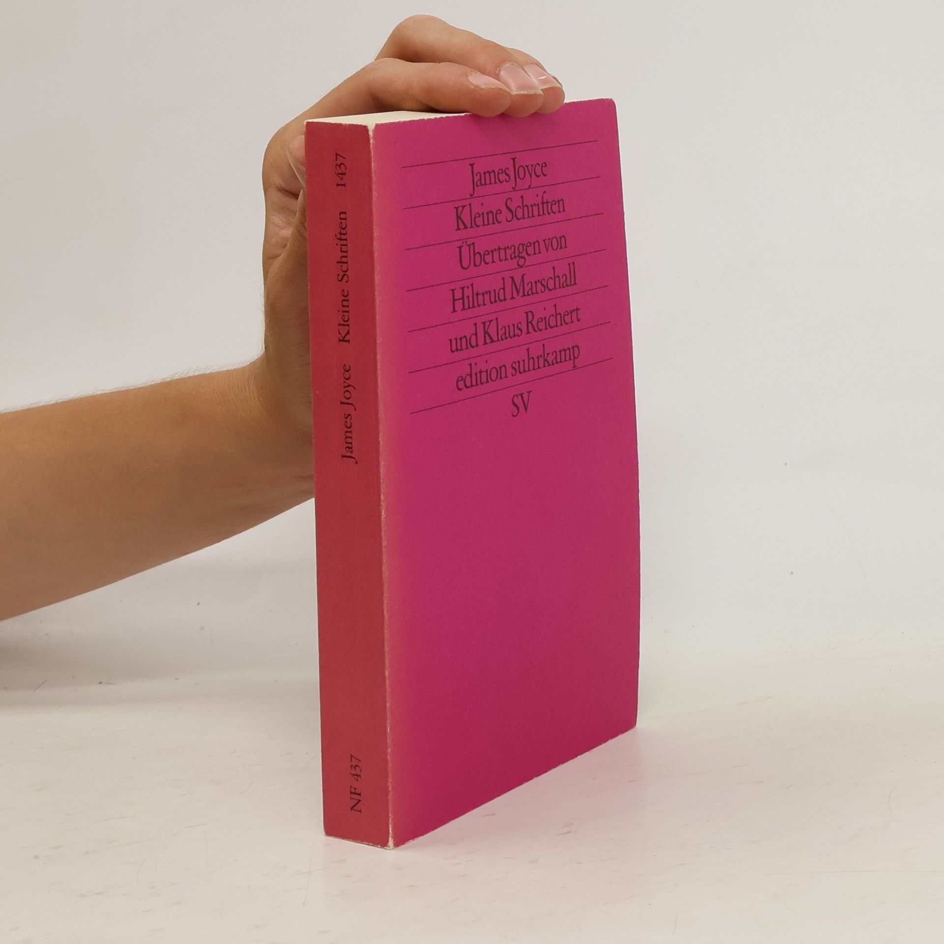 James Joyce Kleine Schriften