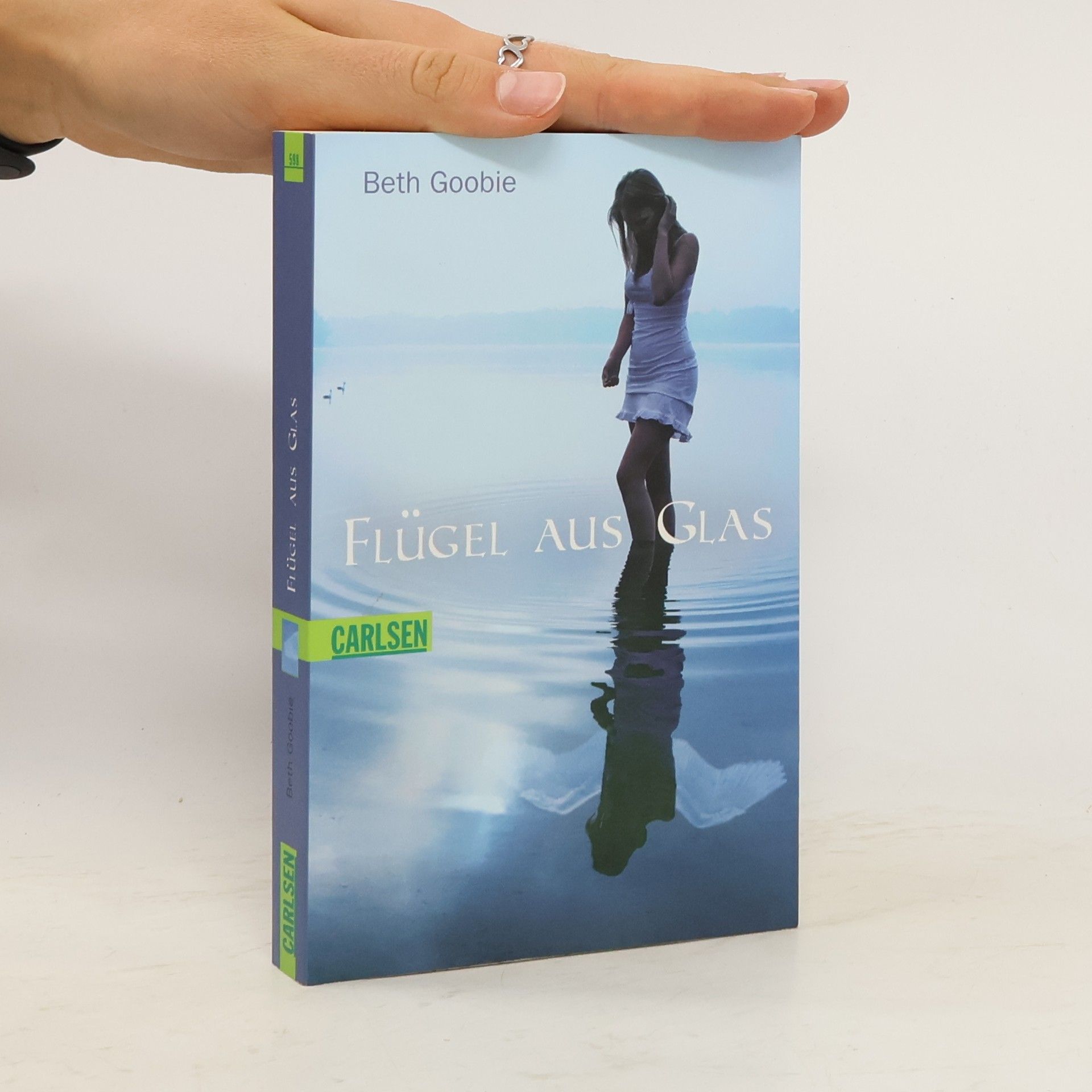 Beth Goobie Flügel aus Glas