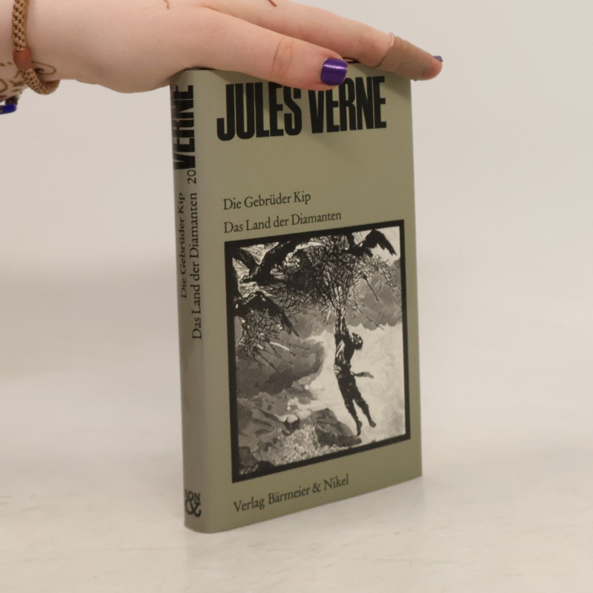 Jules Verne Die Gebrüder Kip. Das Land der Diamanten