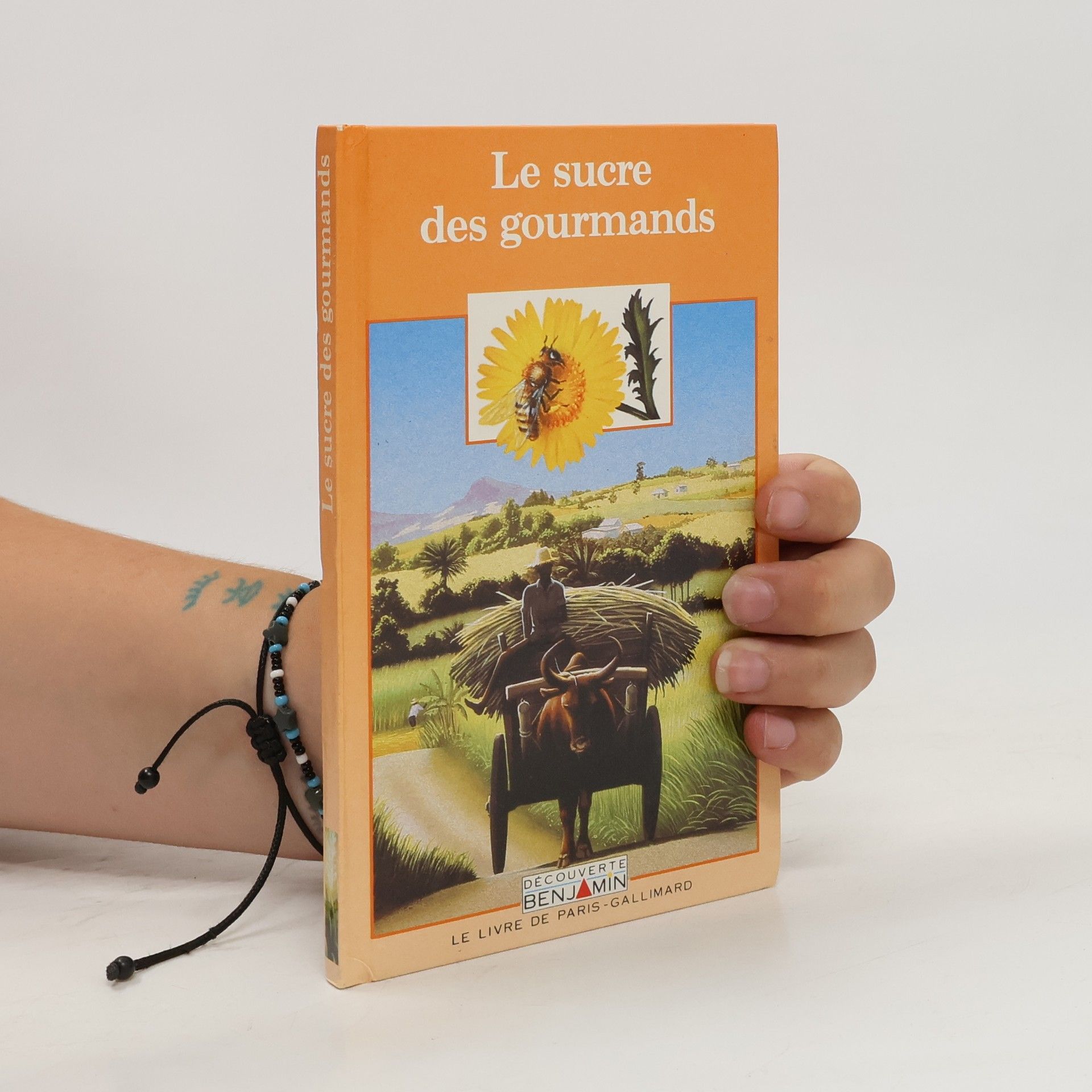 Collectif d'auteurs Le sucre des gourmands