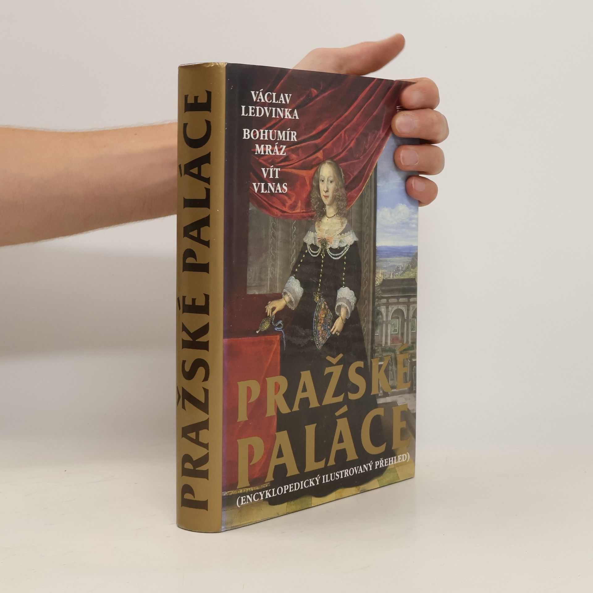 Václav Ledvinka Pražské paláce