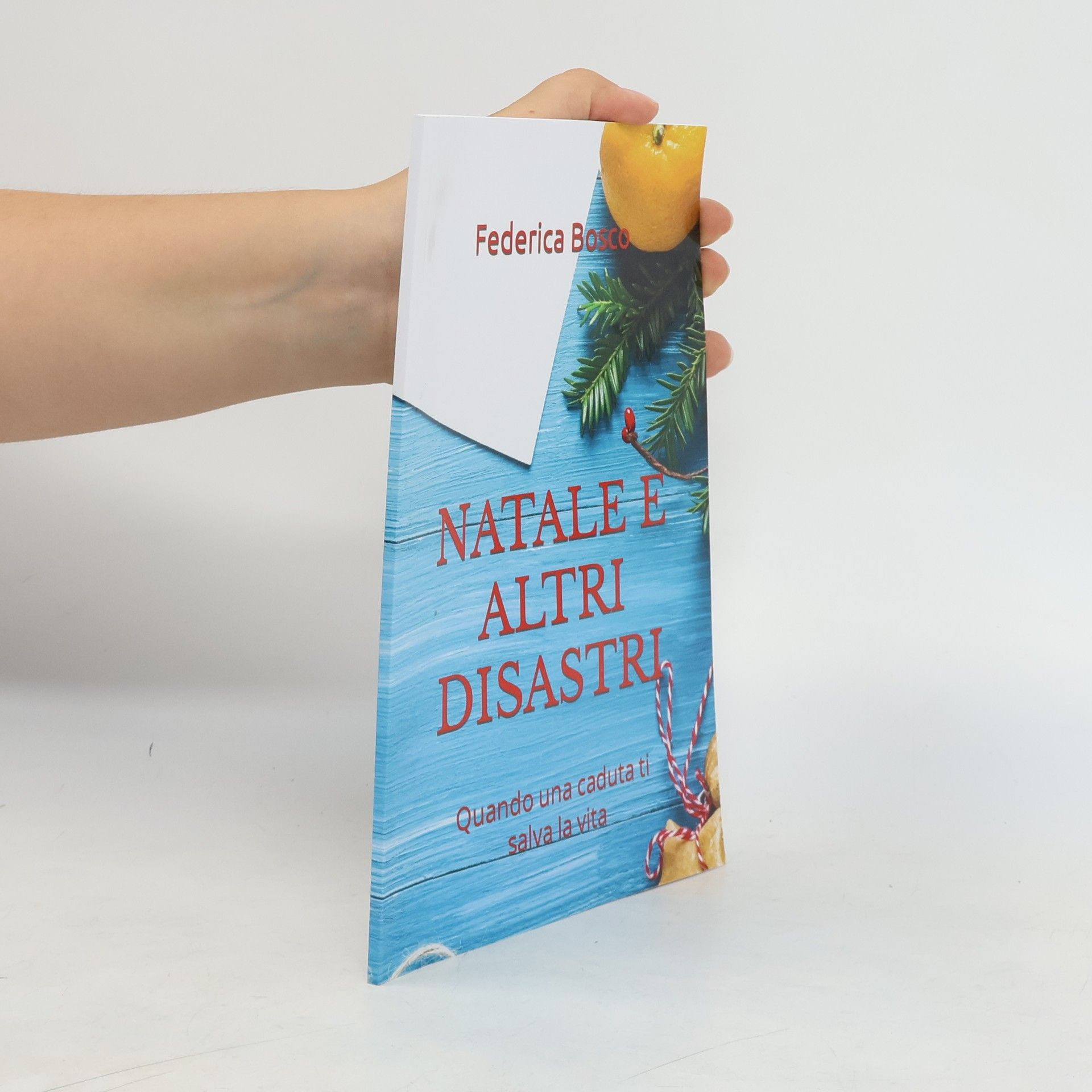 Federica Bosco Natale e altri disastri
