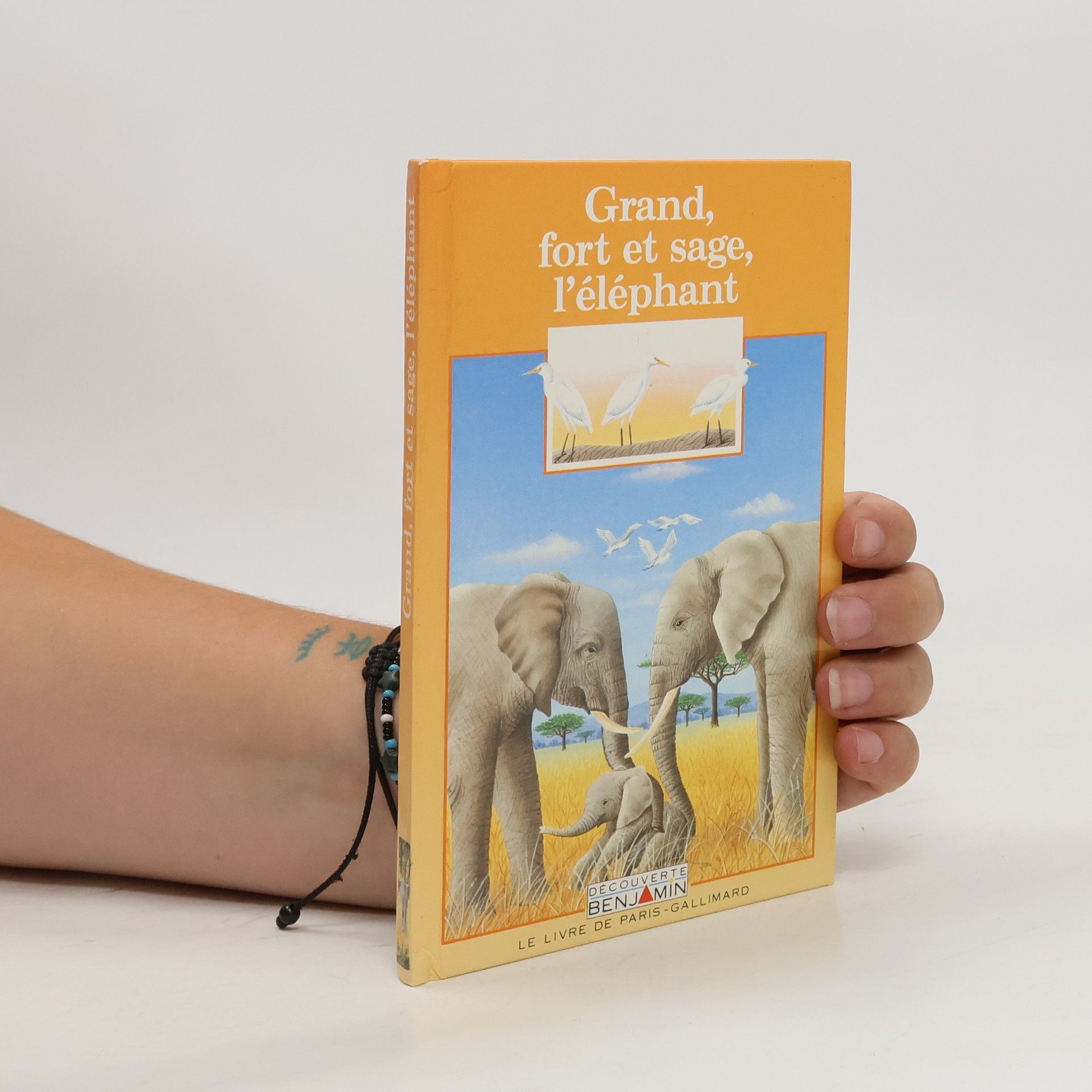 Collectif d'auteurs Grand fort et sage l´éeléphant