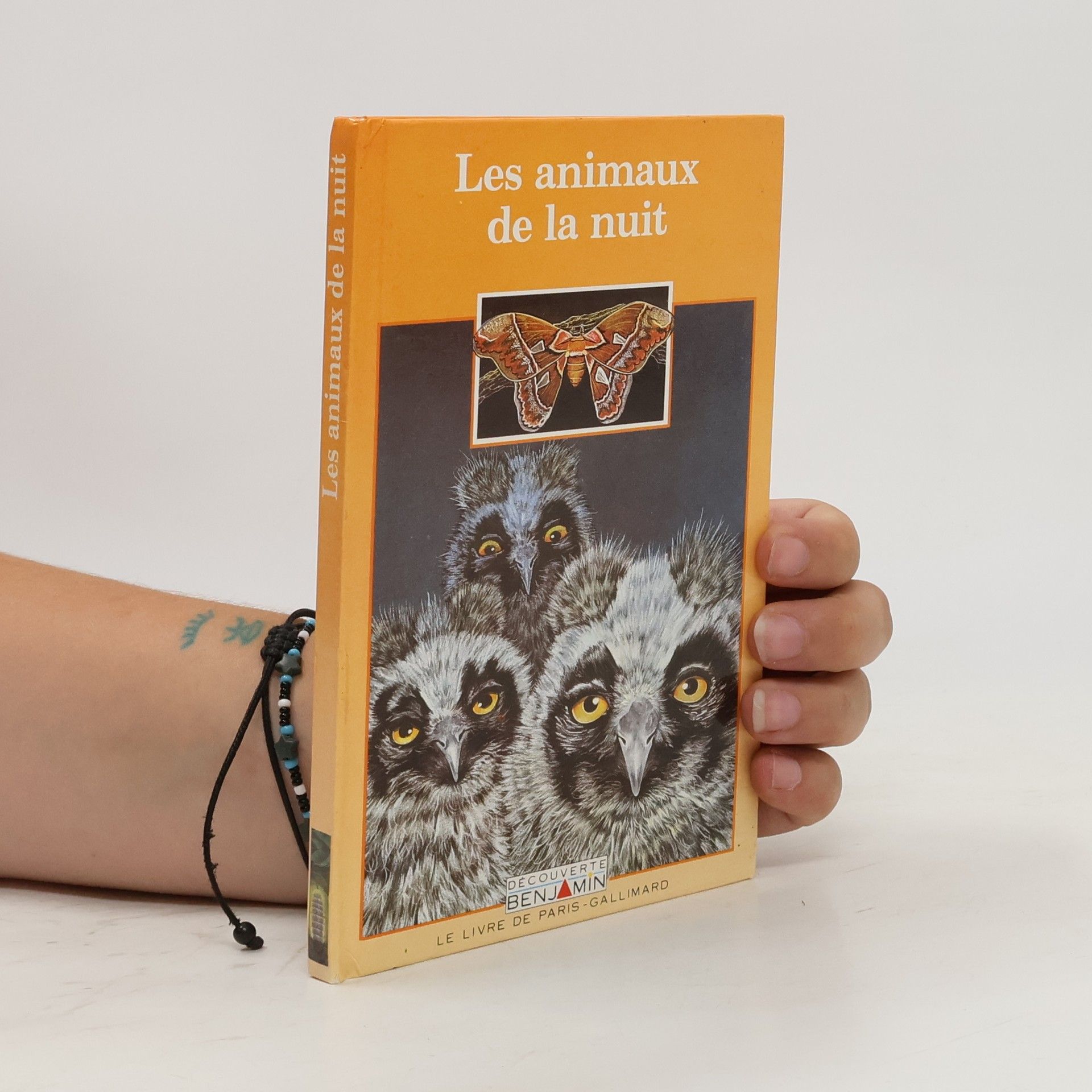 Collectif d'auteurs Les animaux de la nuit
