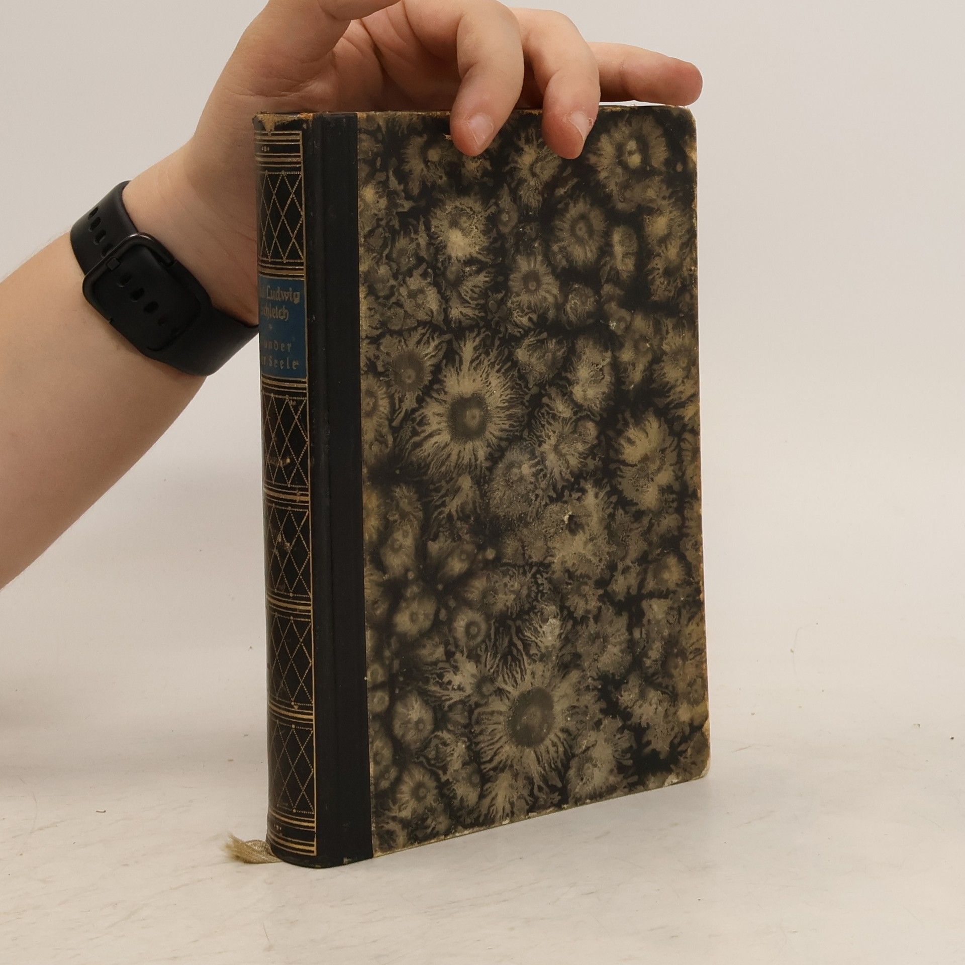 Carl Ludwig Schleich Die Wunder der Seele