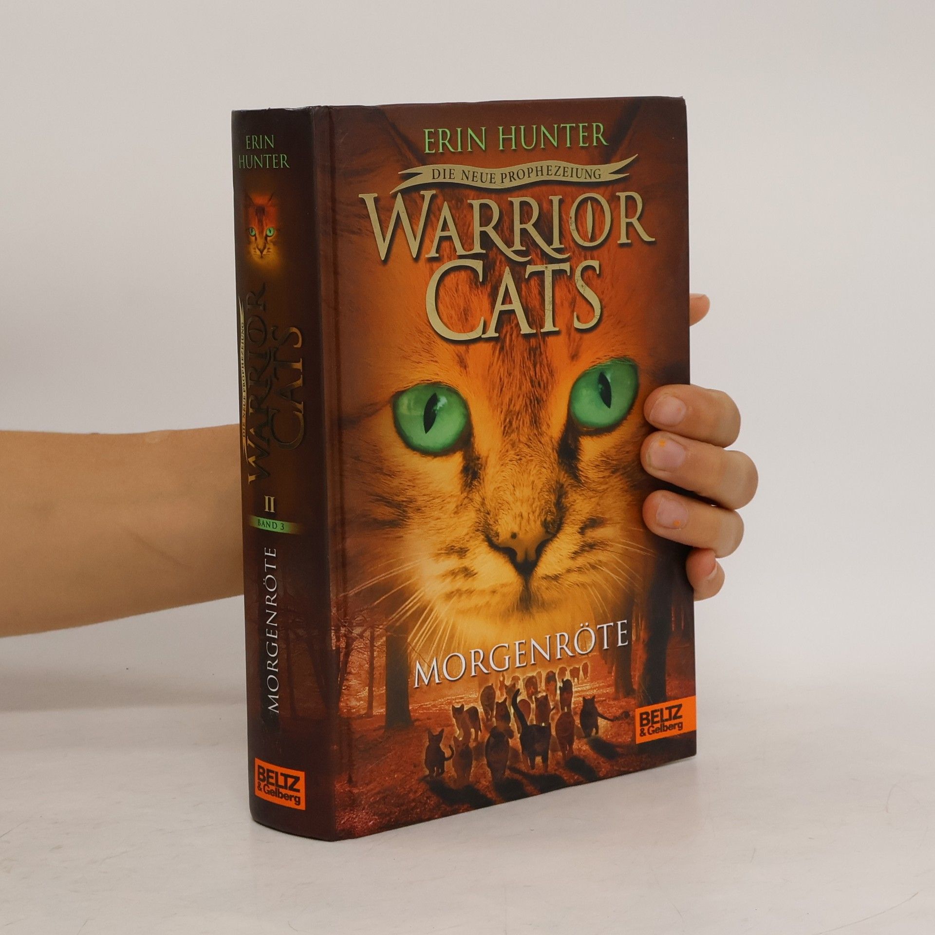 Erin Hunter Warrior Cats - Morgenröte