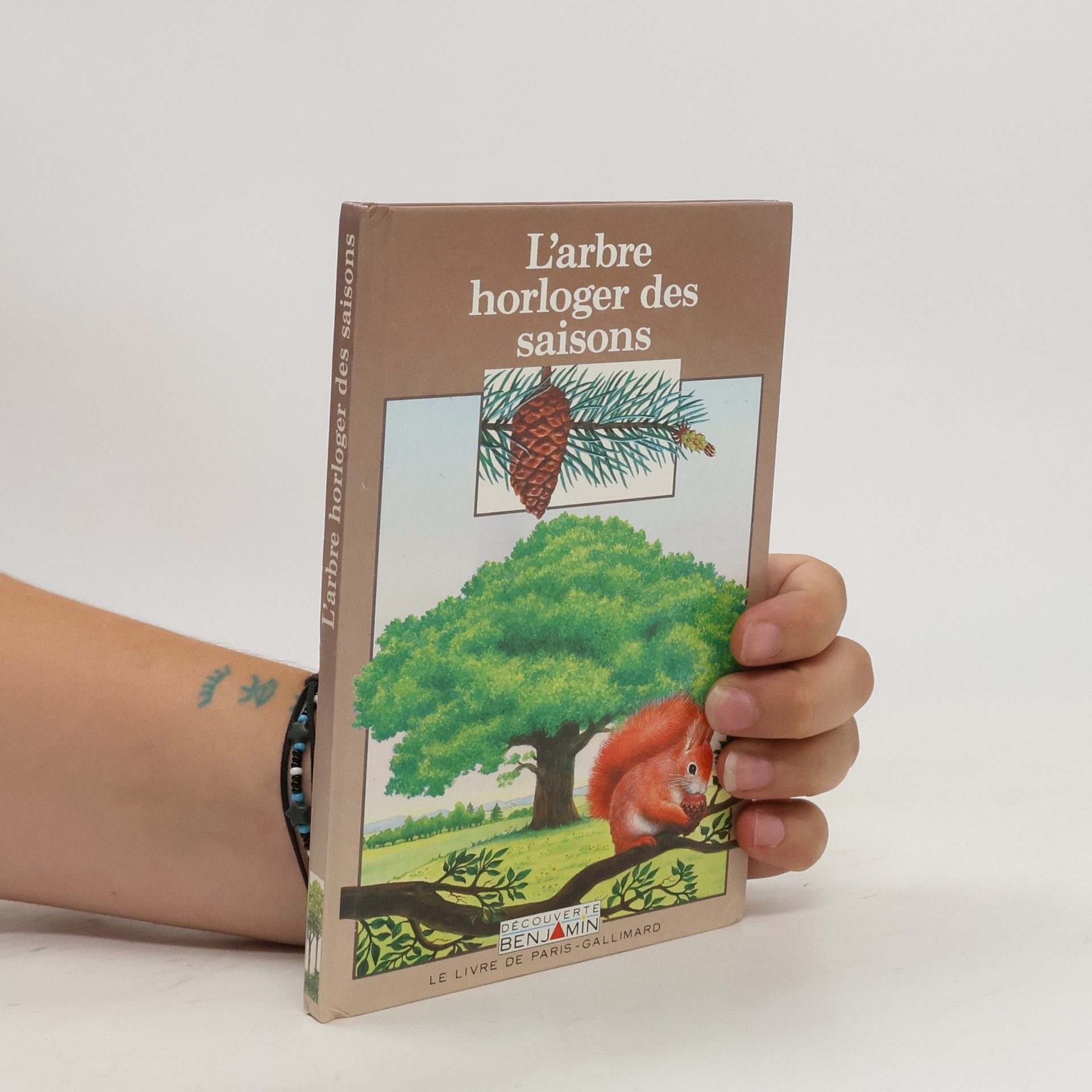 Sylvaine Peyrols L'arbre horloger des saisons