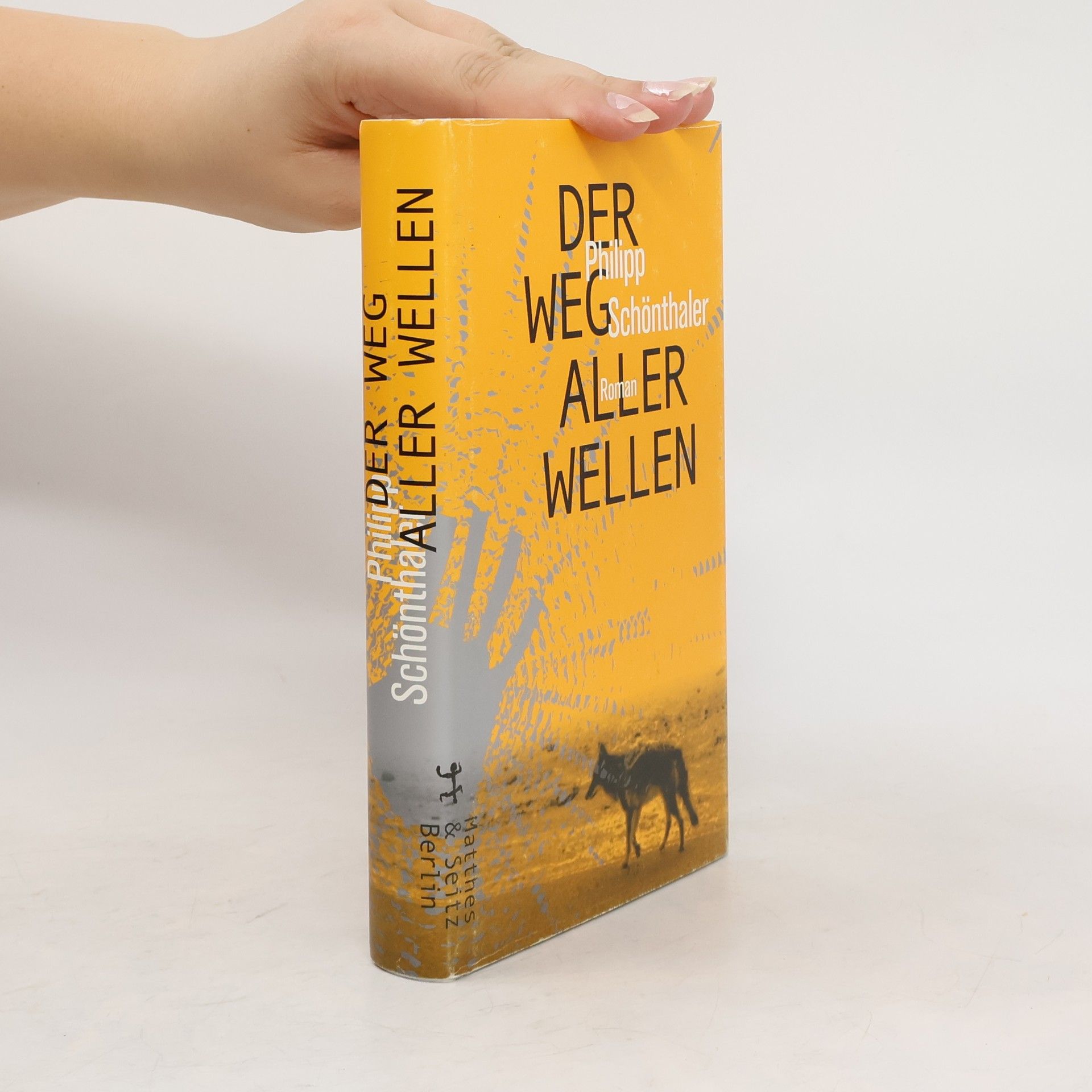 Philipp Schönthaler Der Weg aller Wellen