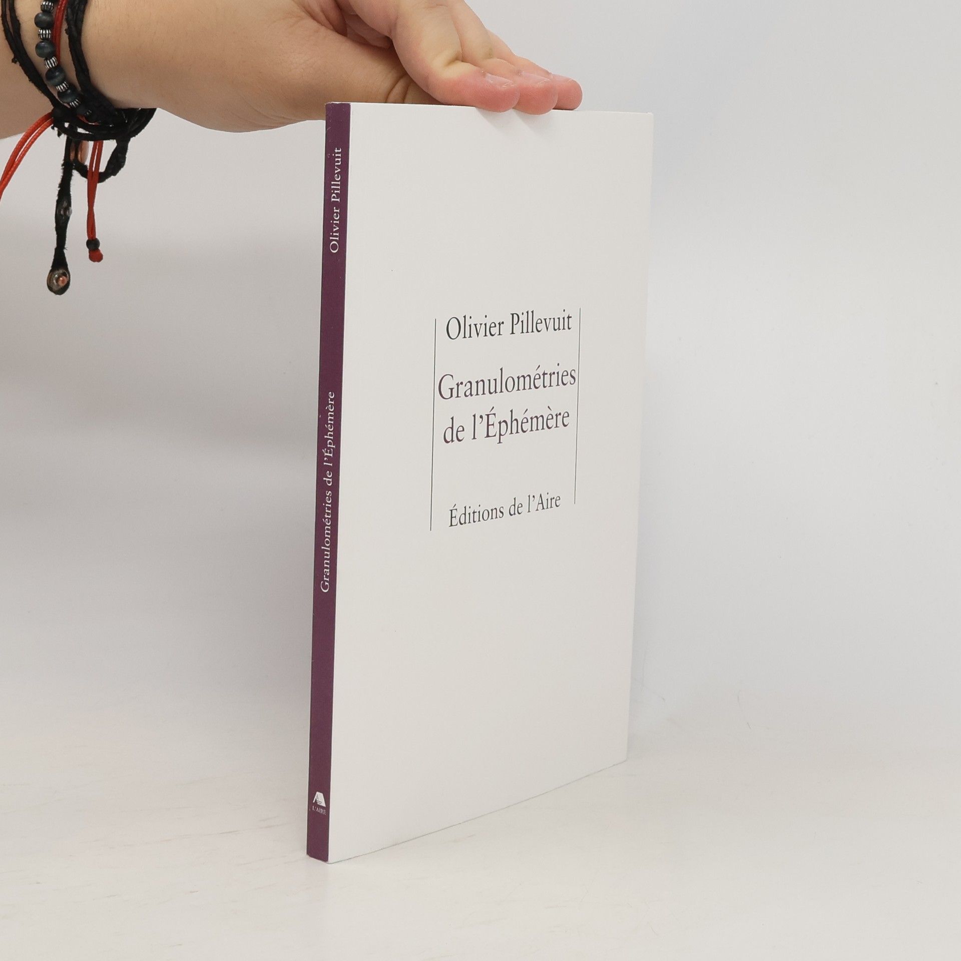 Olivier Pillevuit Granulométries de l'Ephémère