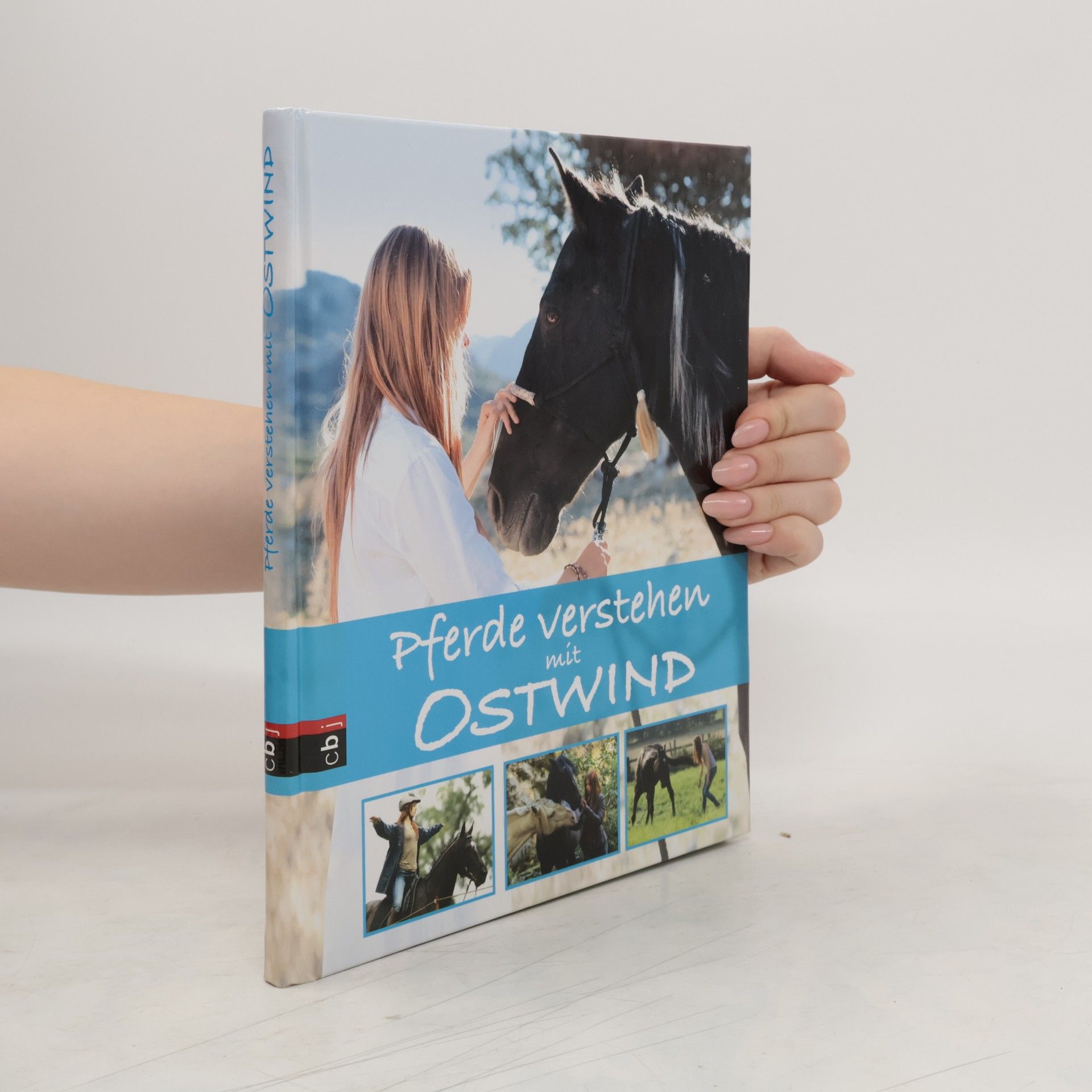 Almut Tina Schmidt Pferde verstehen mit Ostwind
