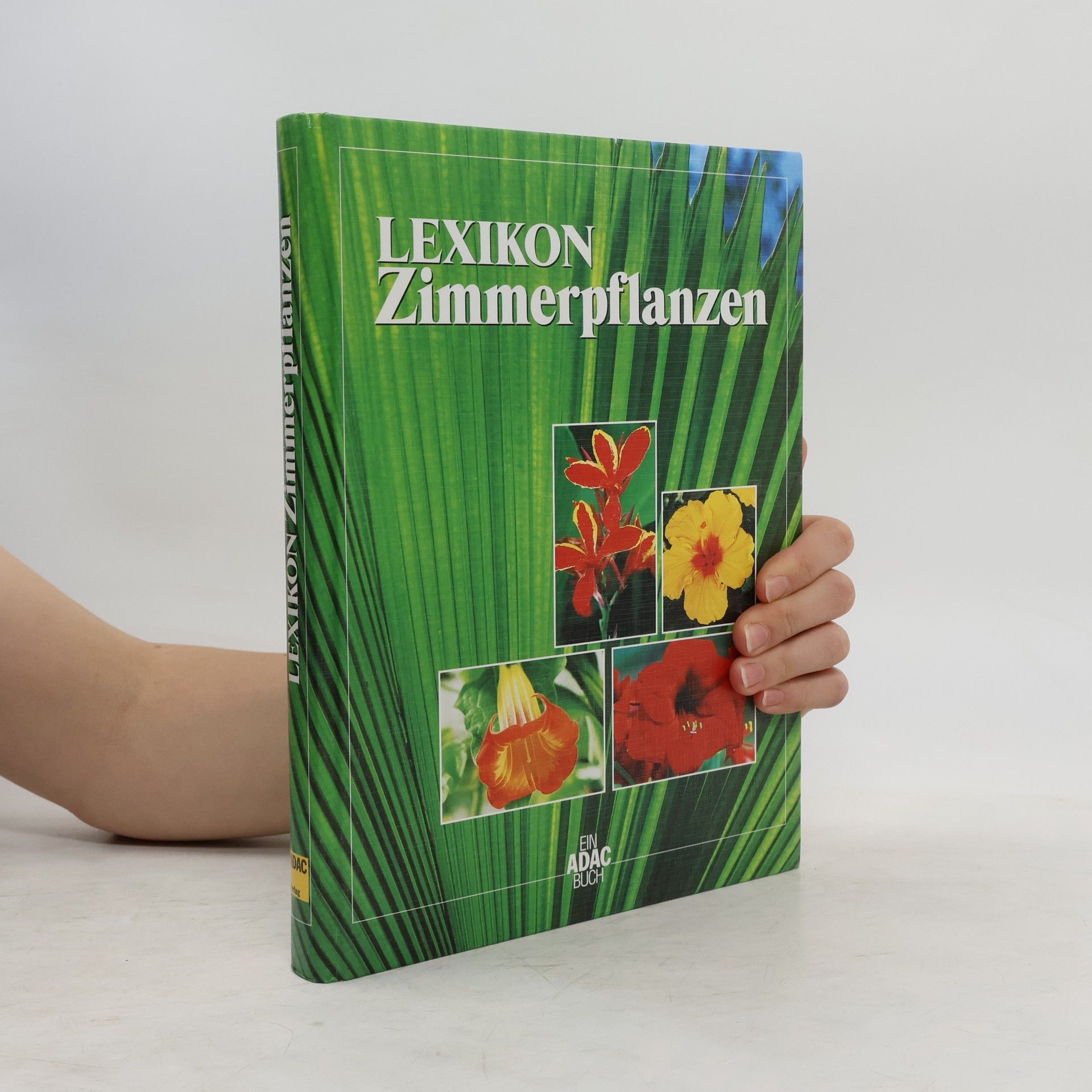 Angelika Weber Lexikon Zimmerpflanzen
