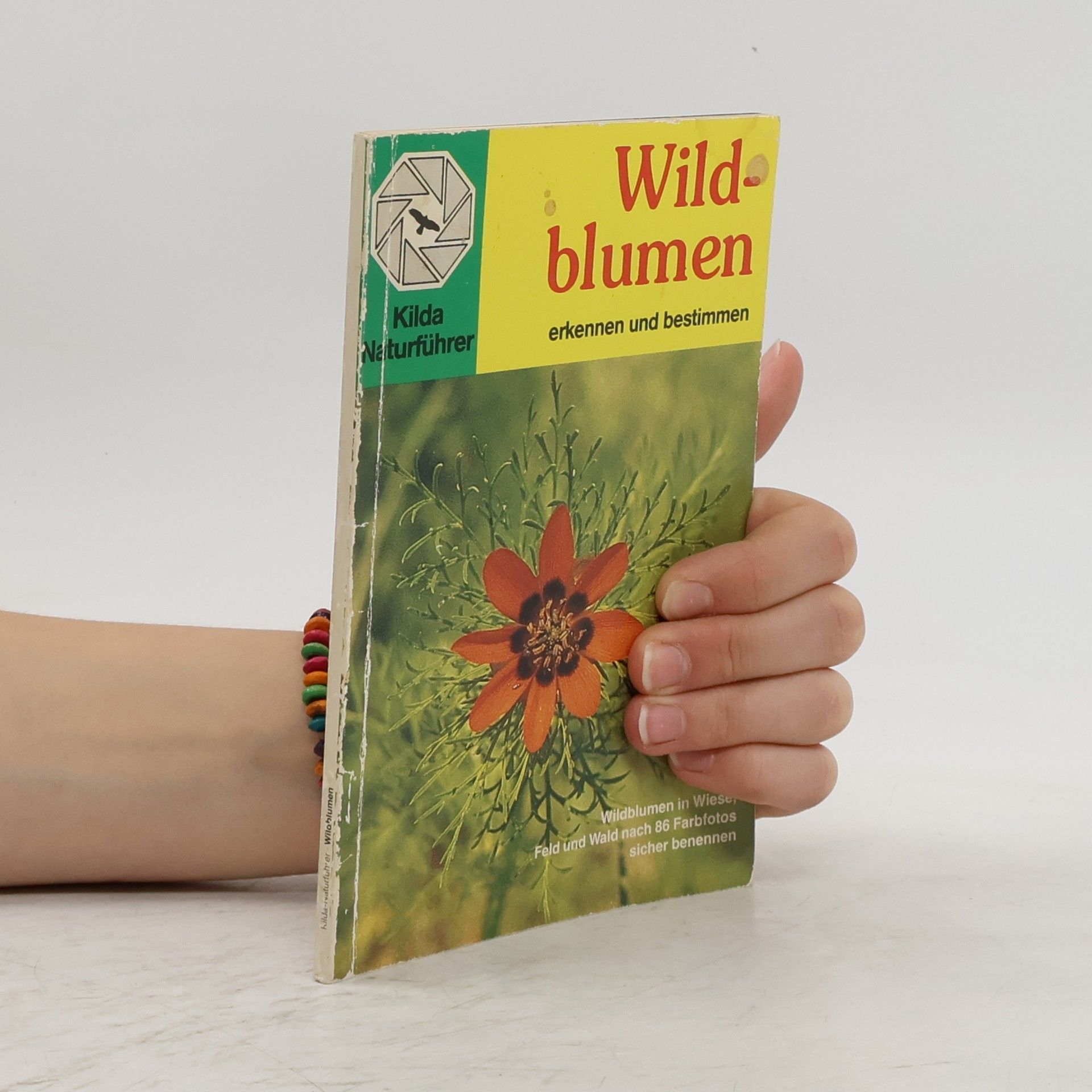 Autorenkollektiv Wildblumen. Erkennen und Bestimmen