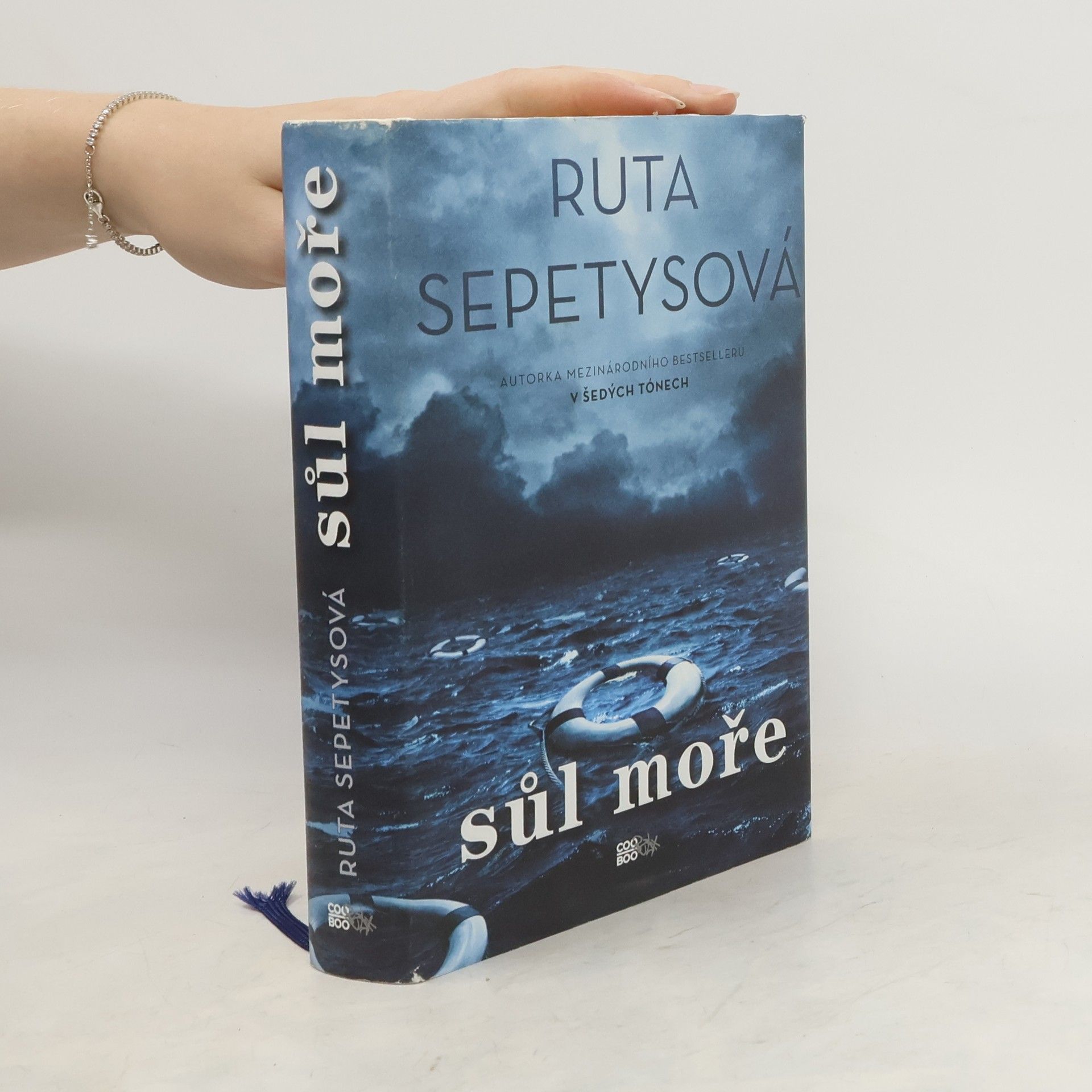Ruta Sepetys Sůl moře