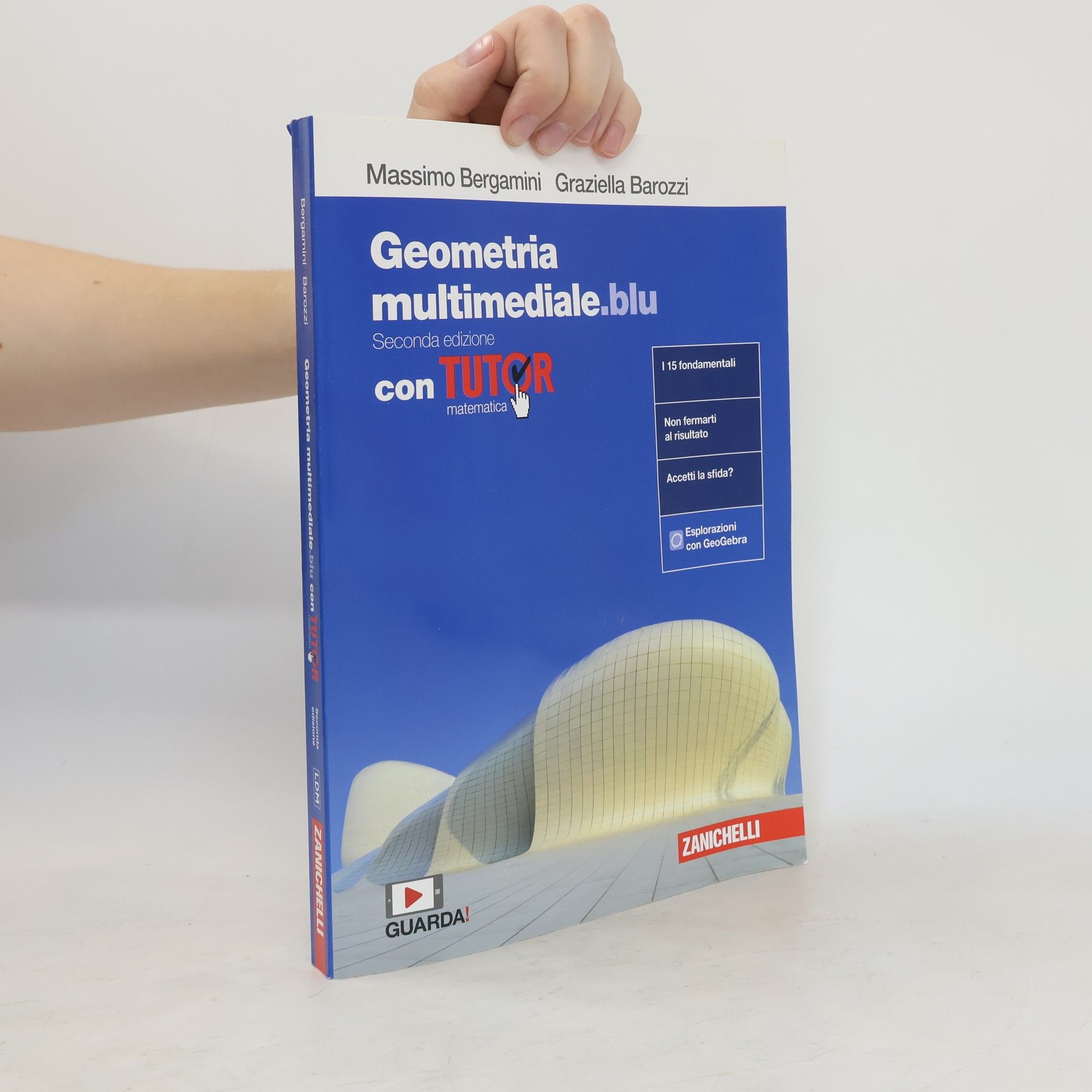 Massimo Bergamini Geometria multimediale.blu