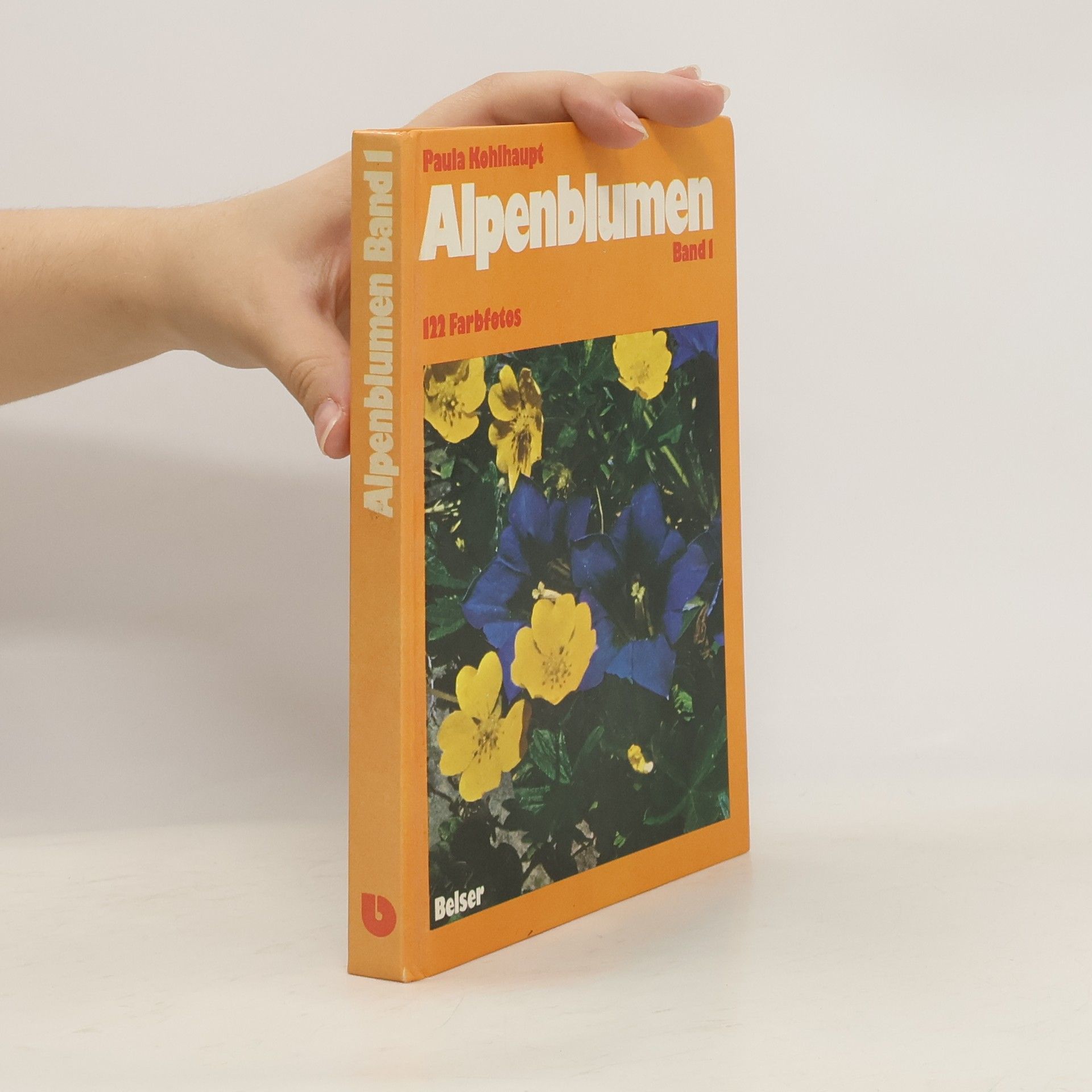 Paula Kohlhaupt Alpenblumen