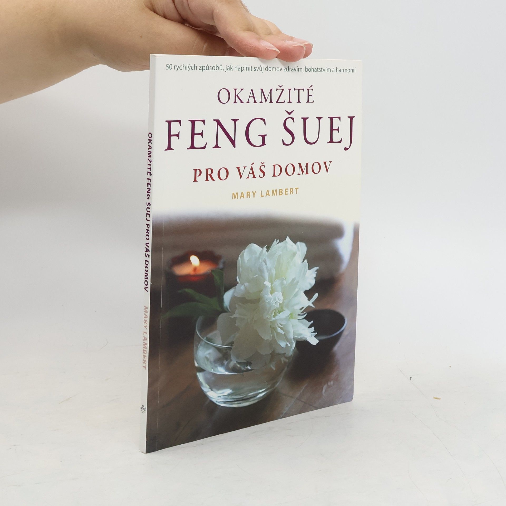 Mary Lambert Okamžité feng šuej pro váš domov