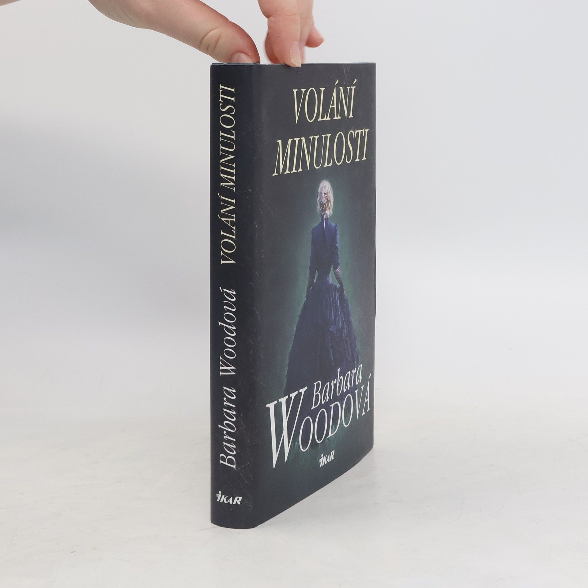 Barbara Wood Volání minulosti