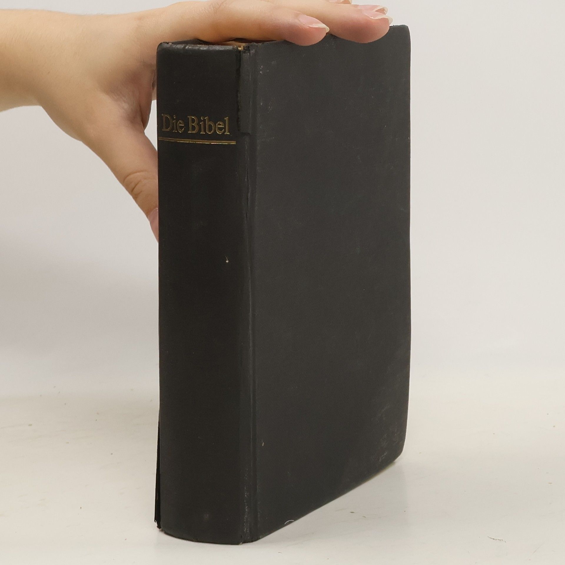 kolektiv Die Bibel