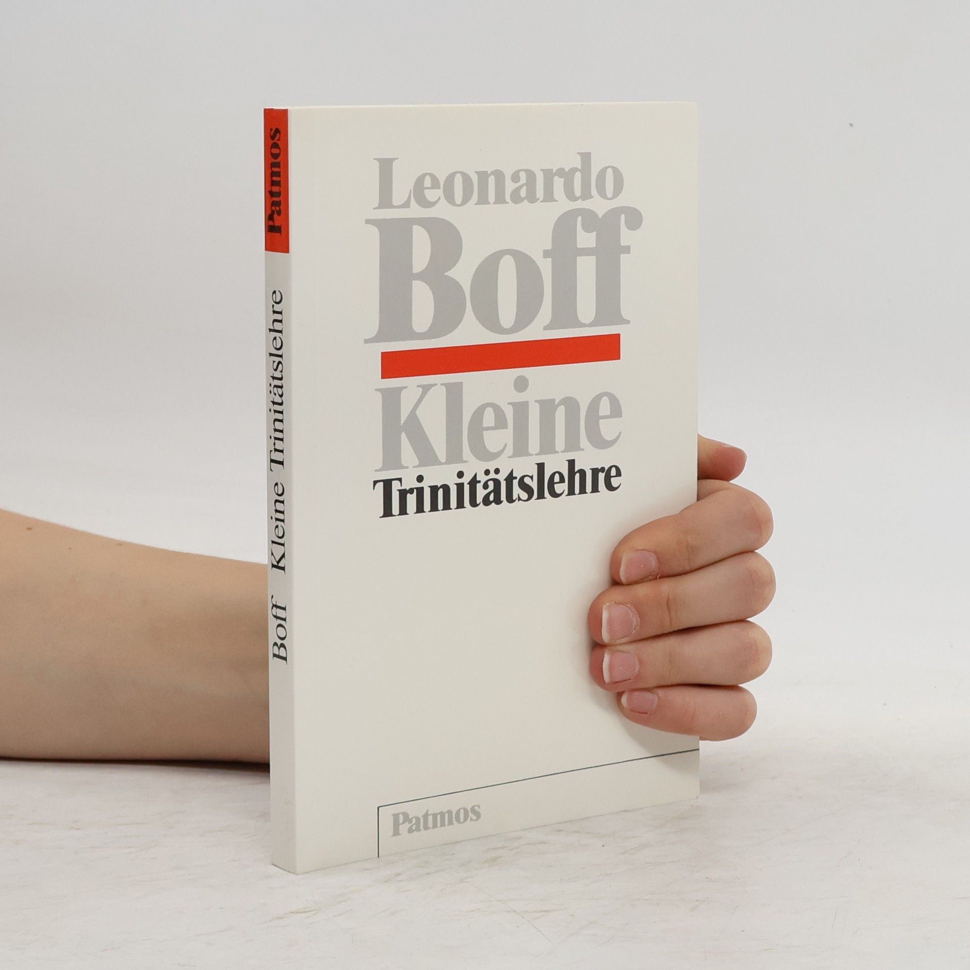 Leonardo Boff Kleine Trinitätslehre