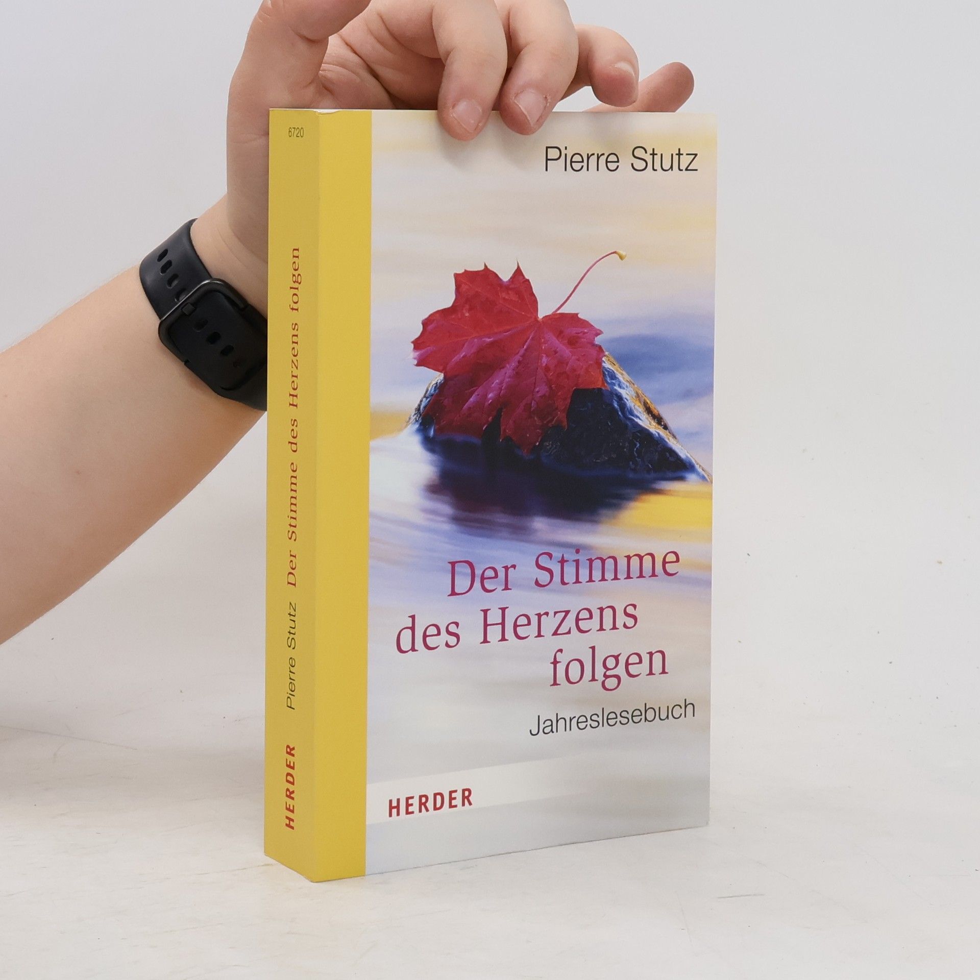 Pierre Stutz Der Stimme des Herzens folgen