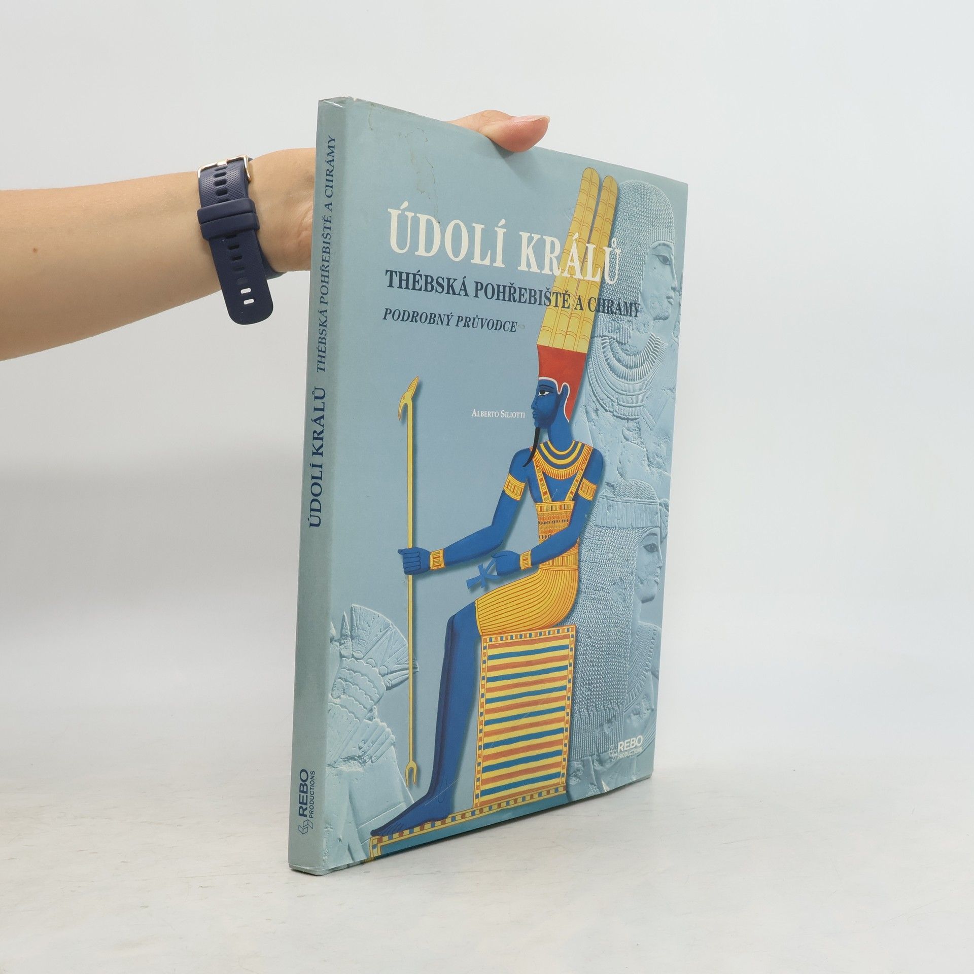 Údolí králů. Thébská pohřebiště a chrámy. Podrobný průvodce