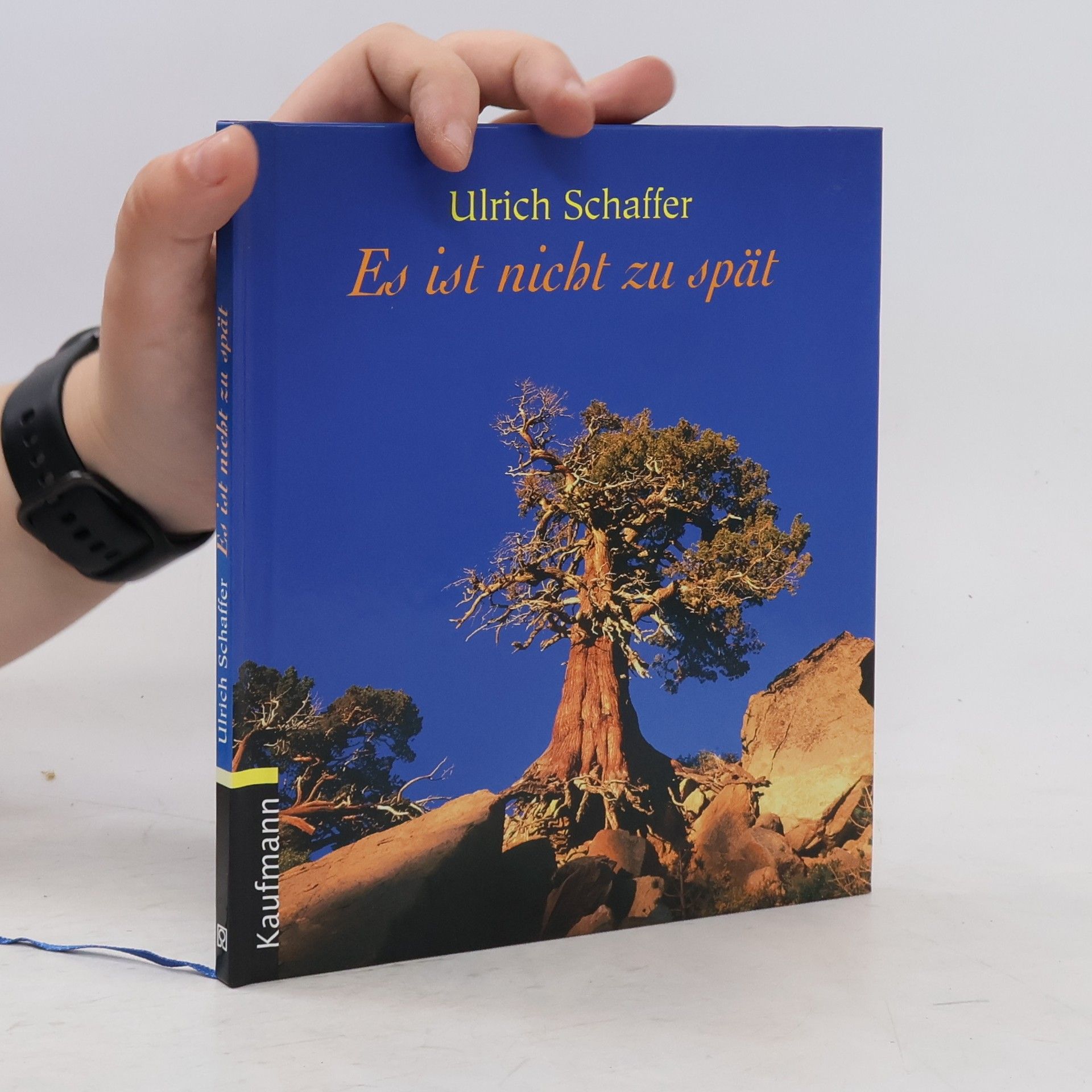 Ulrich Schaffer Es ist nicht zu spät