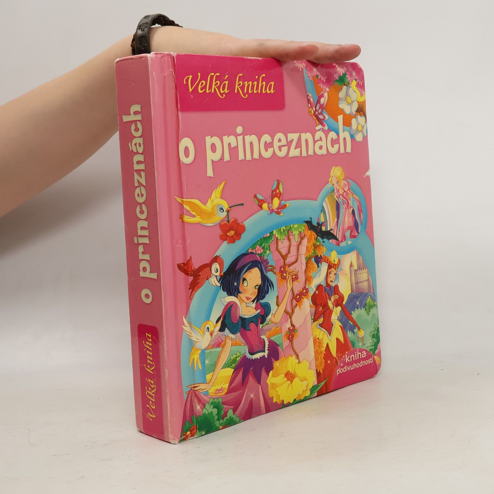 kolektiv Velká kniha o princeznách