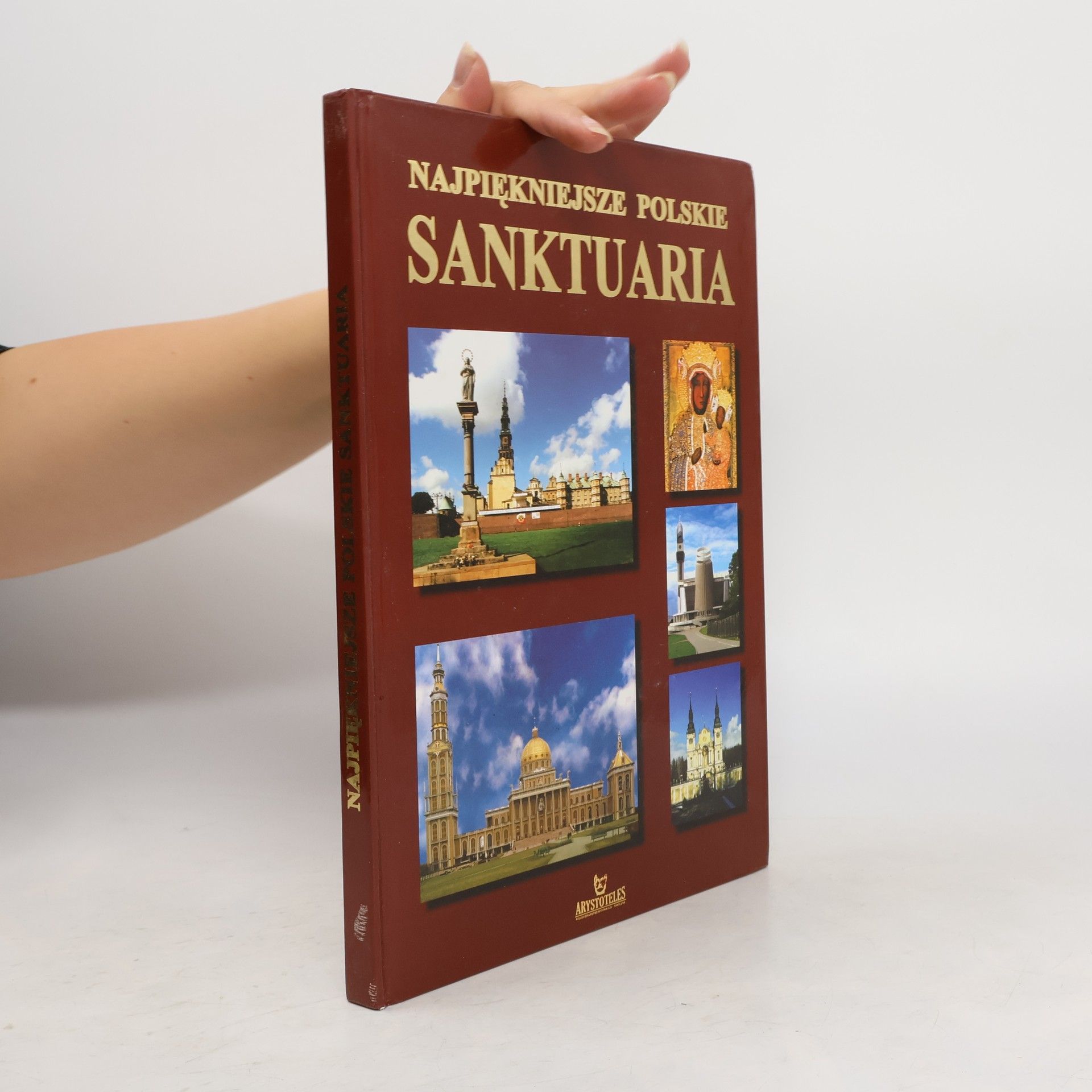 Krzyżanowski Teofil Najpiękniejsze polskie sanktuaria
