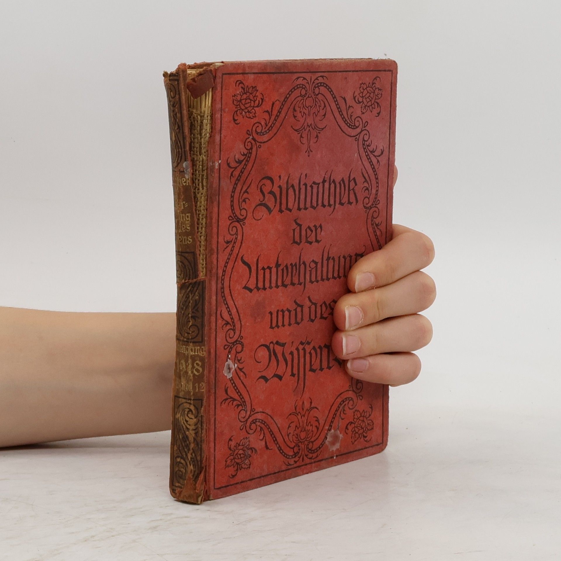 Autorenkollektiv Bibliothek der Unterhaltung und des Wissens. Zwölfter Band