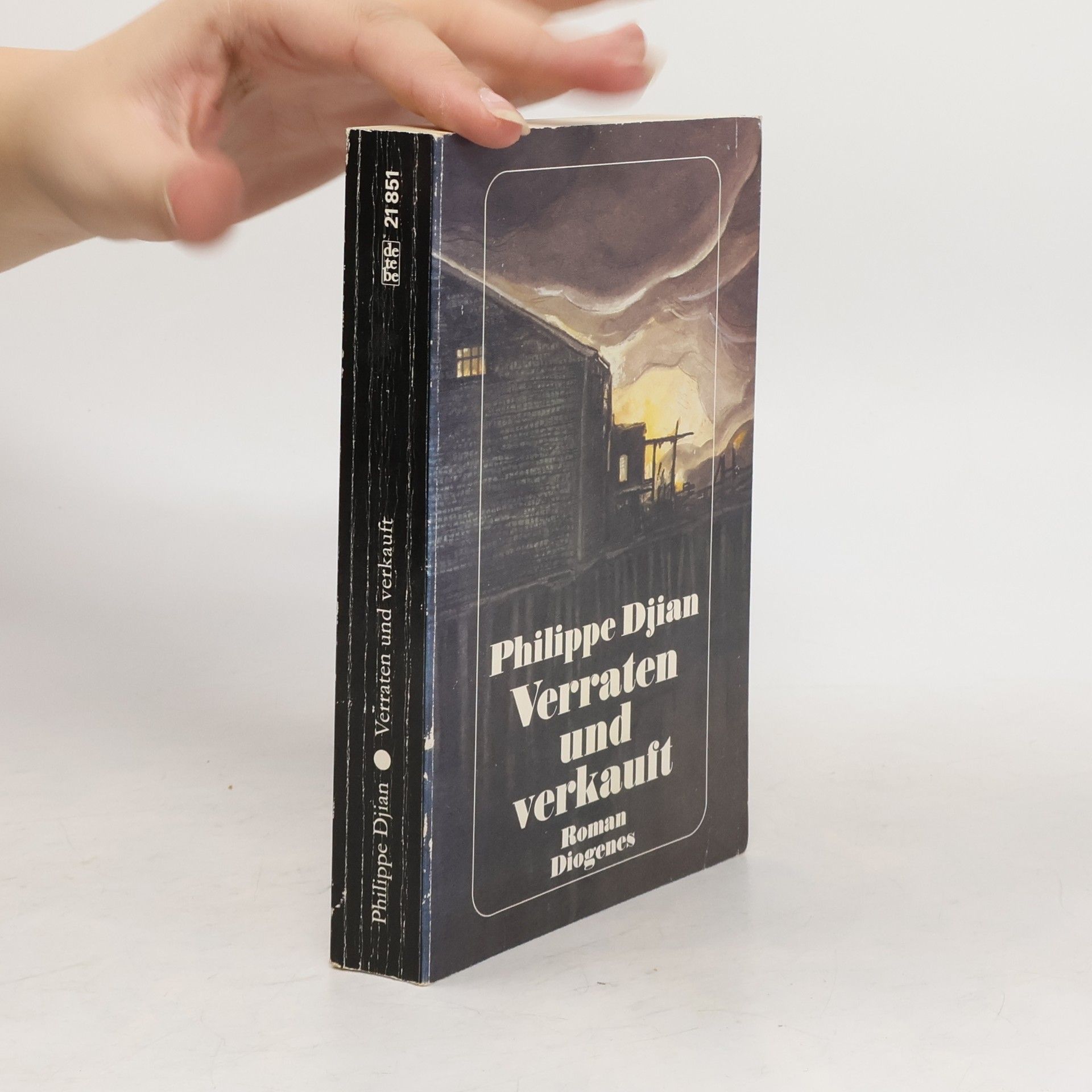 Phillippe Djian Verraten und verkauft