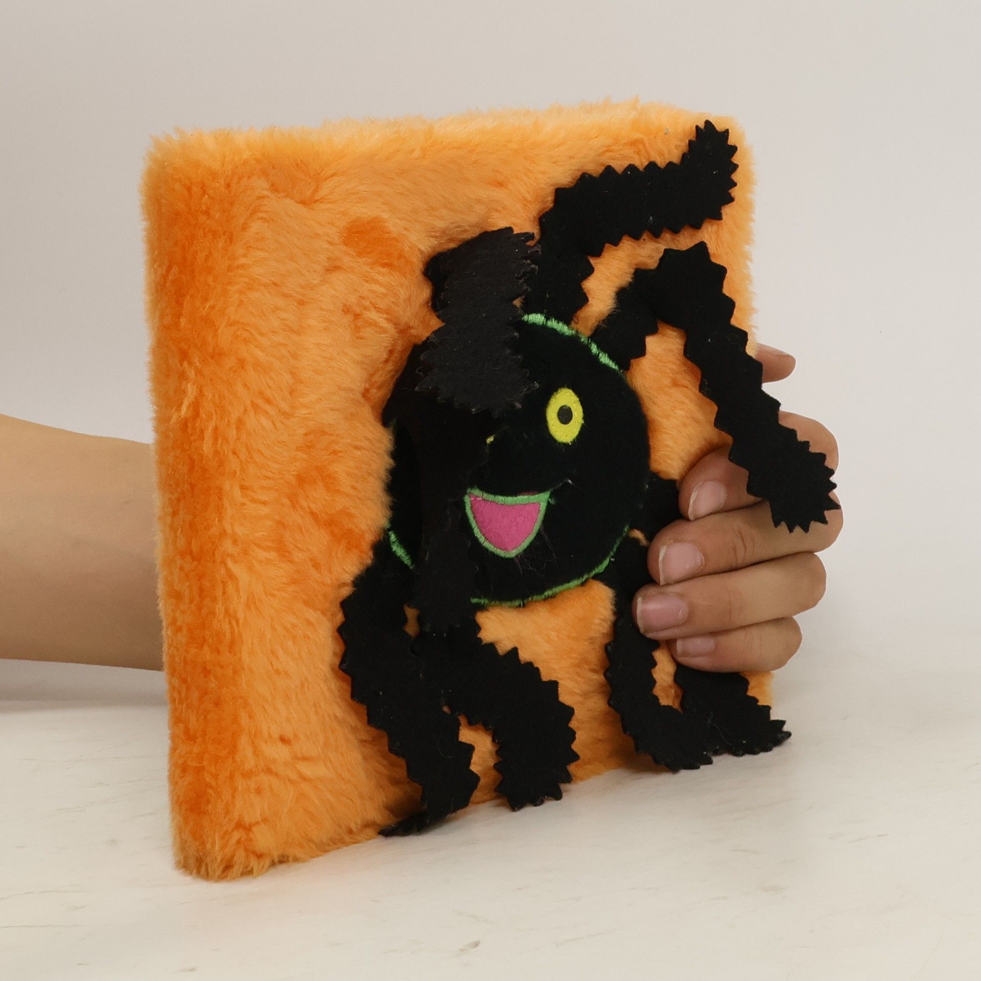 Mark Shulman Spooky Spider: A Snuggle Book