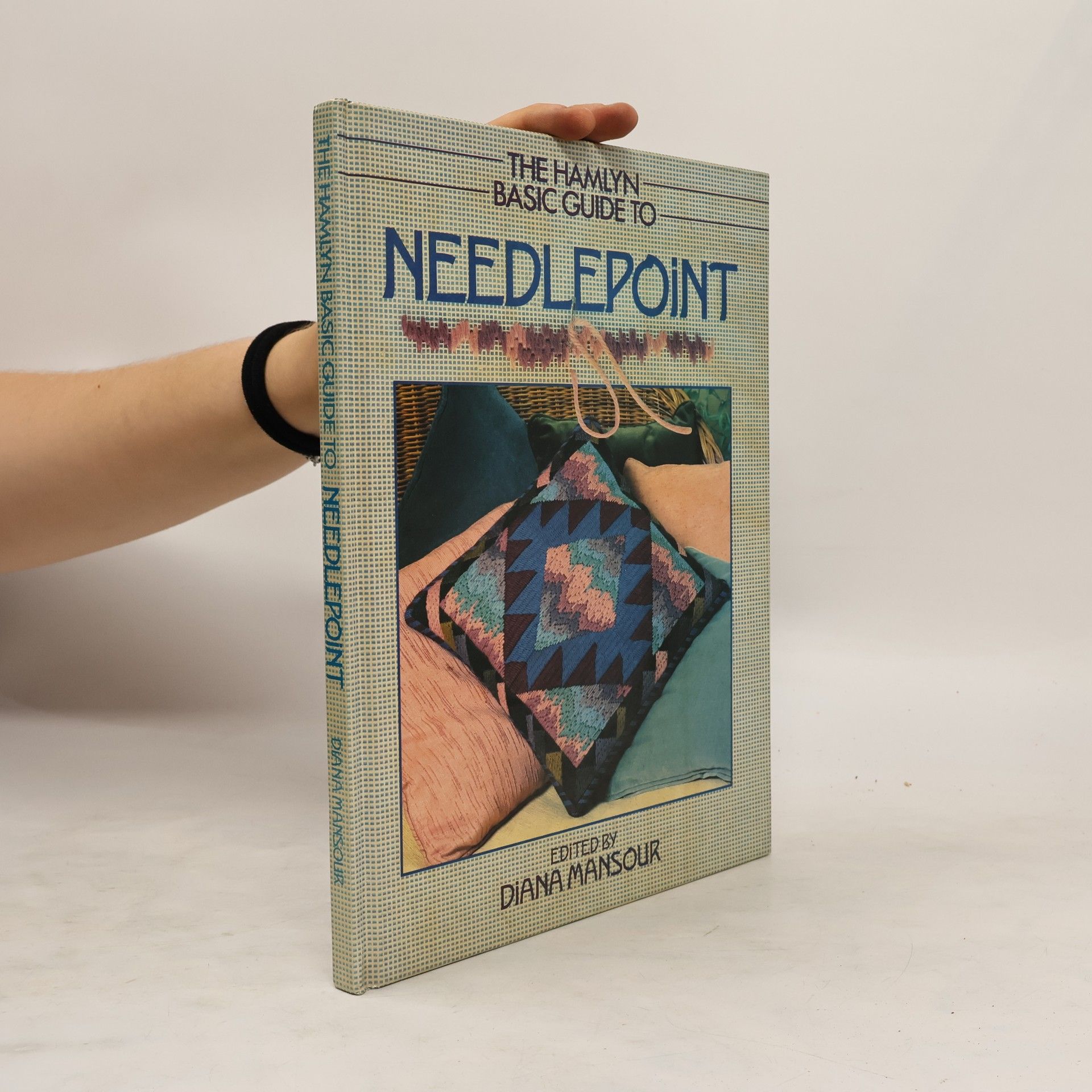 Diana Mansour The Hamlyn Basic Guide to Needlepoint